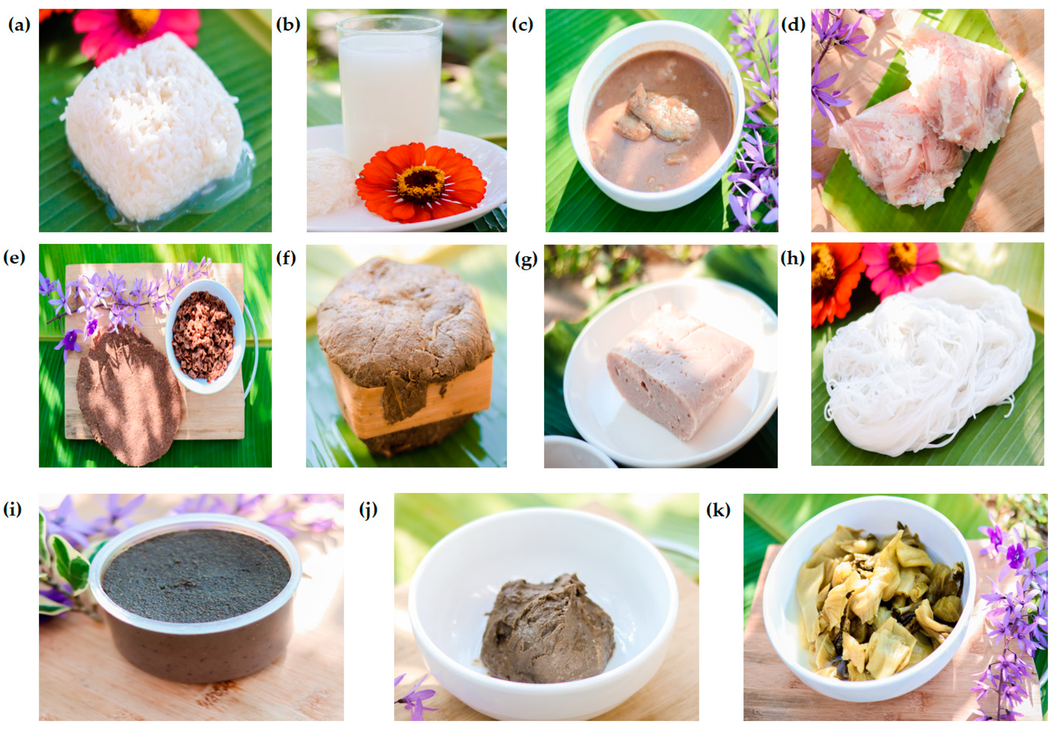 Fermentation 08 00635 g001