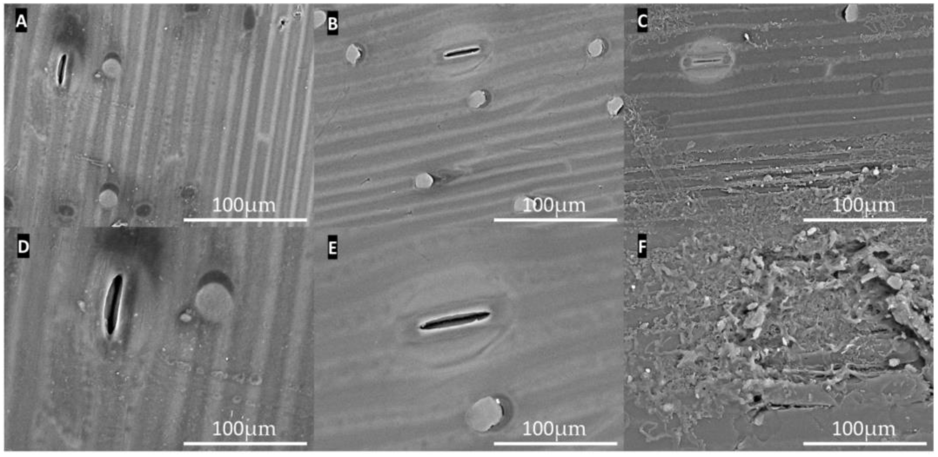 Fermentation 08 00636 g002