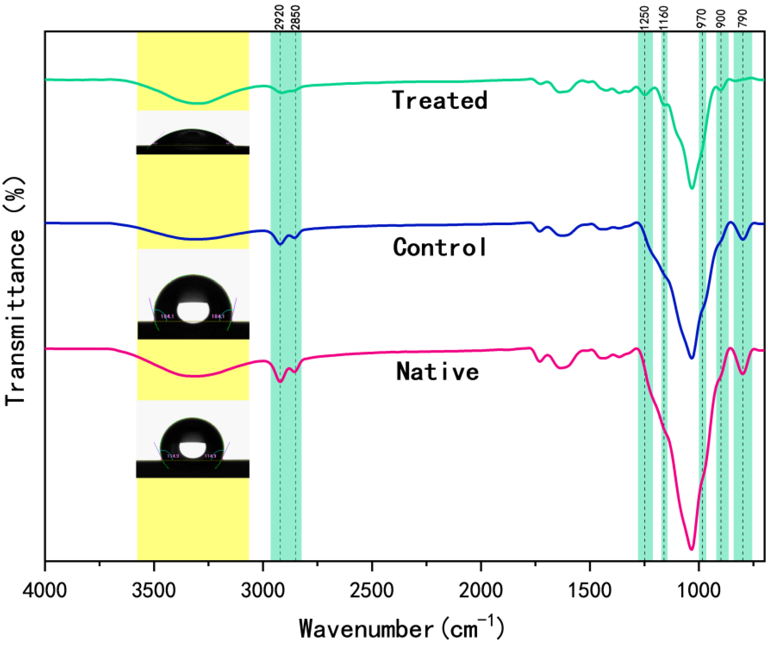 Fermentation 08 00636 g006