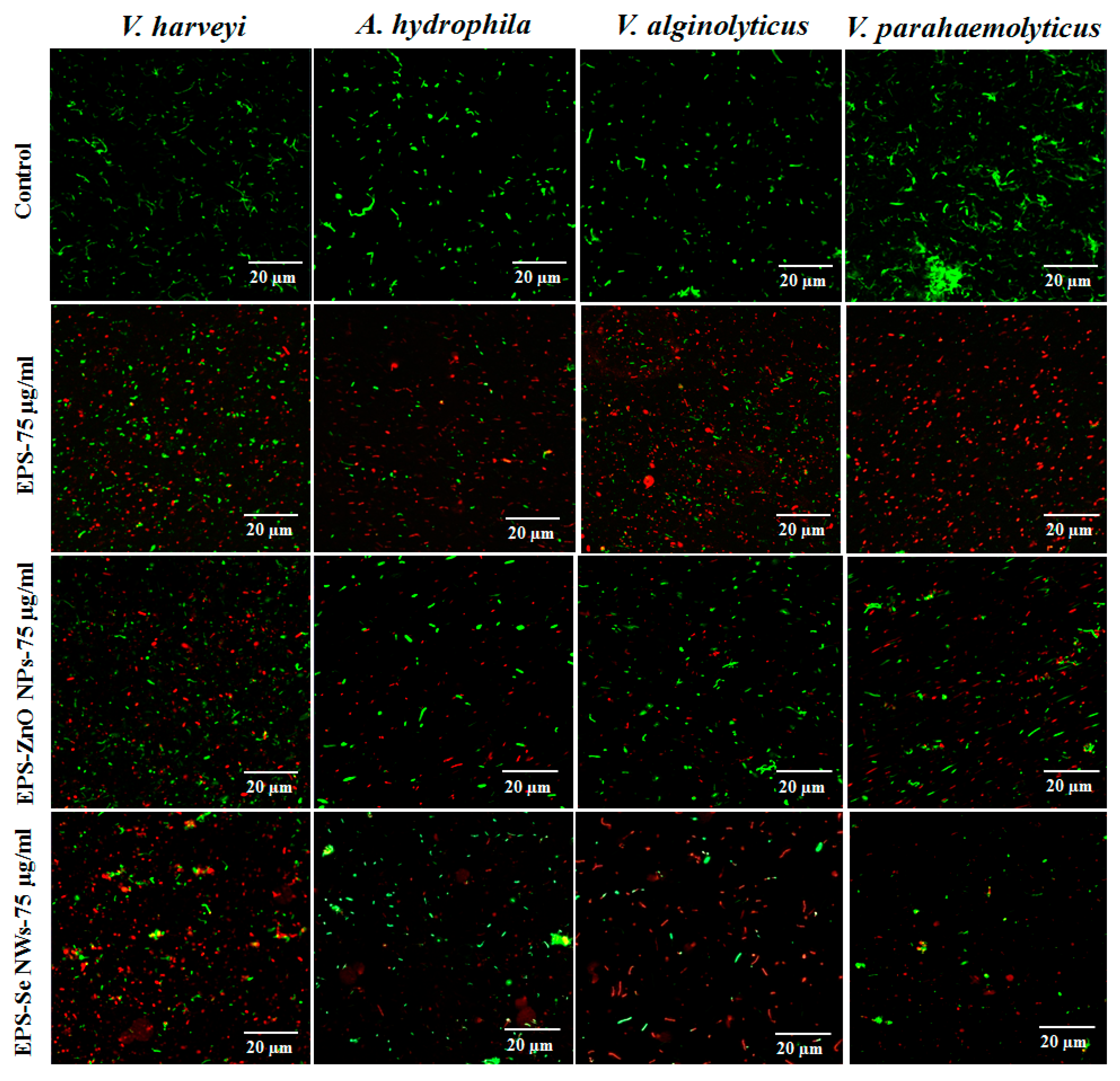 Fermentation 08 00637 g002 Fermentation 08 00637 g002