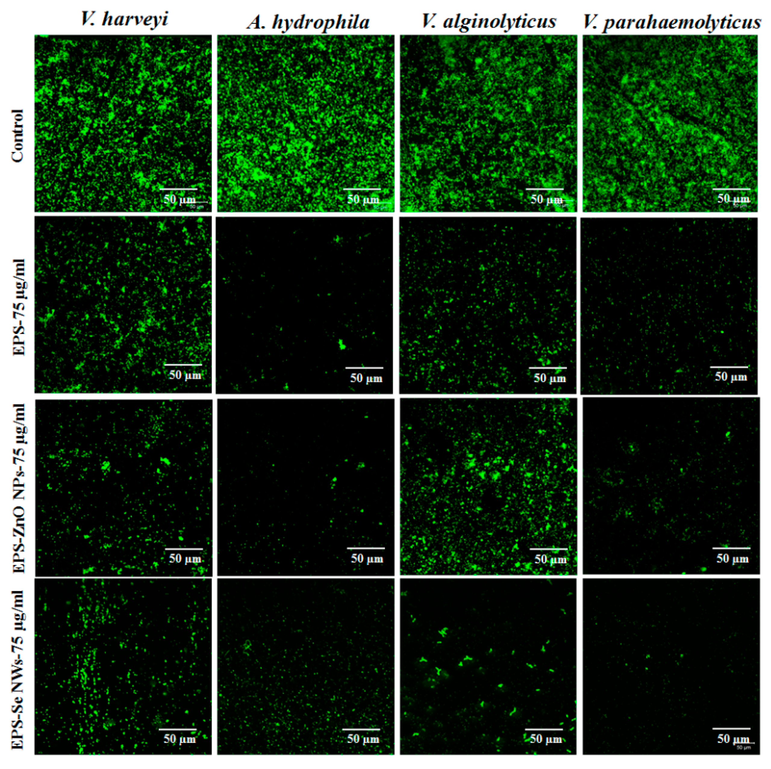 Fermentation 08 00637 g003 Fermentation 08 00637 g003
