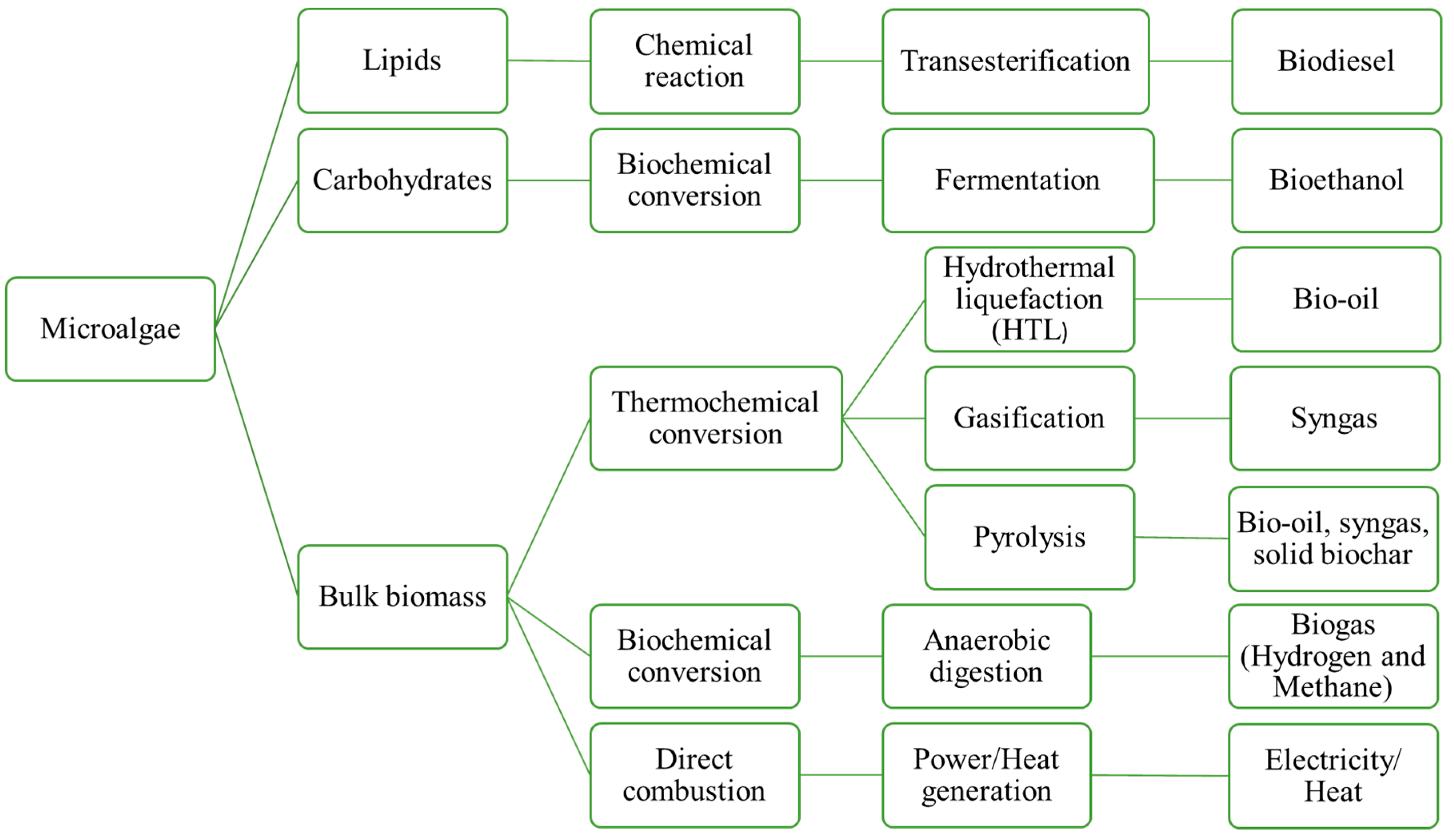 Fermentation 08 00649 g002 Fermentation 08 00649 g002