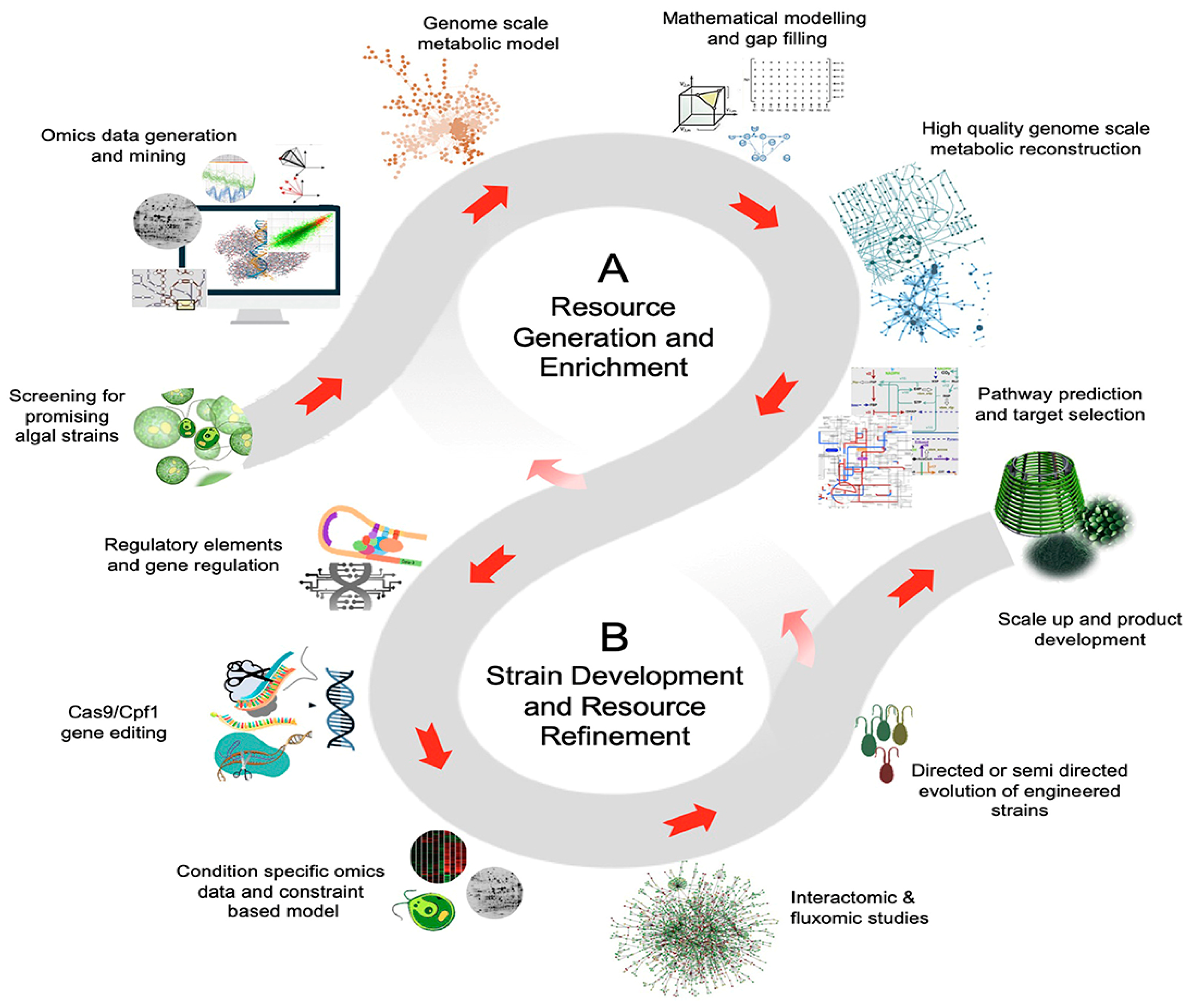 Fermentation 08 00649 g006 Fermentation 08 00649 g006