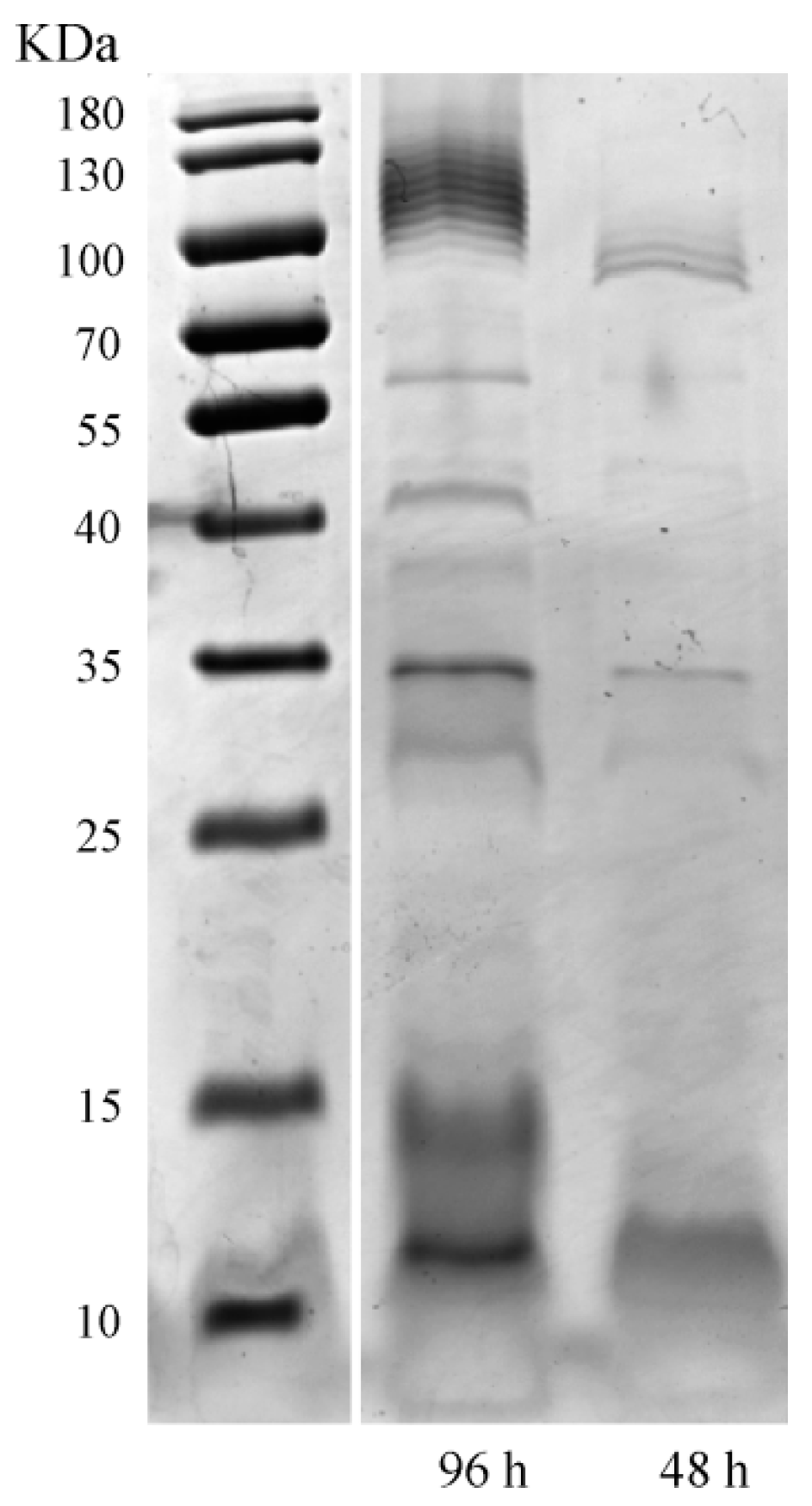 Fermentation 08 00655 g001