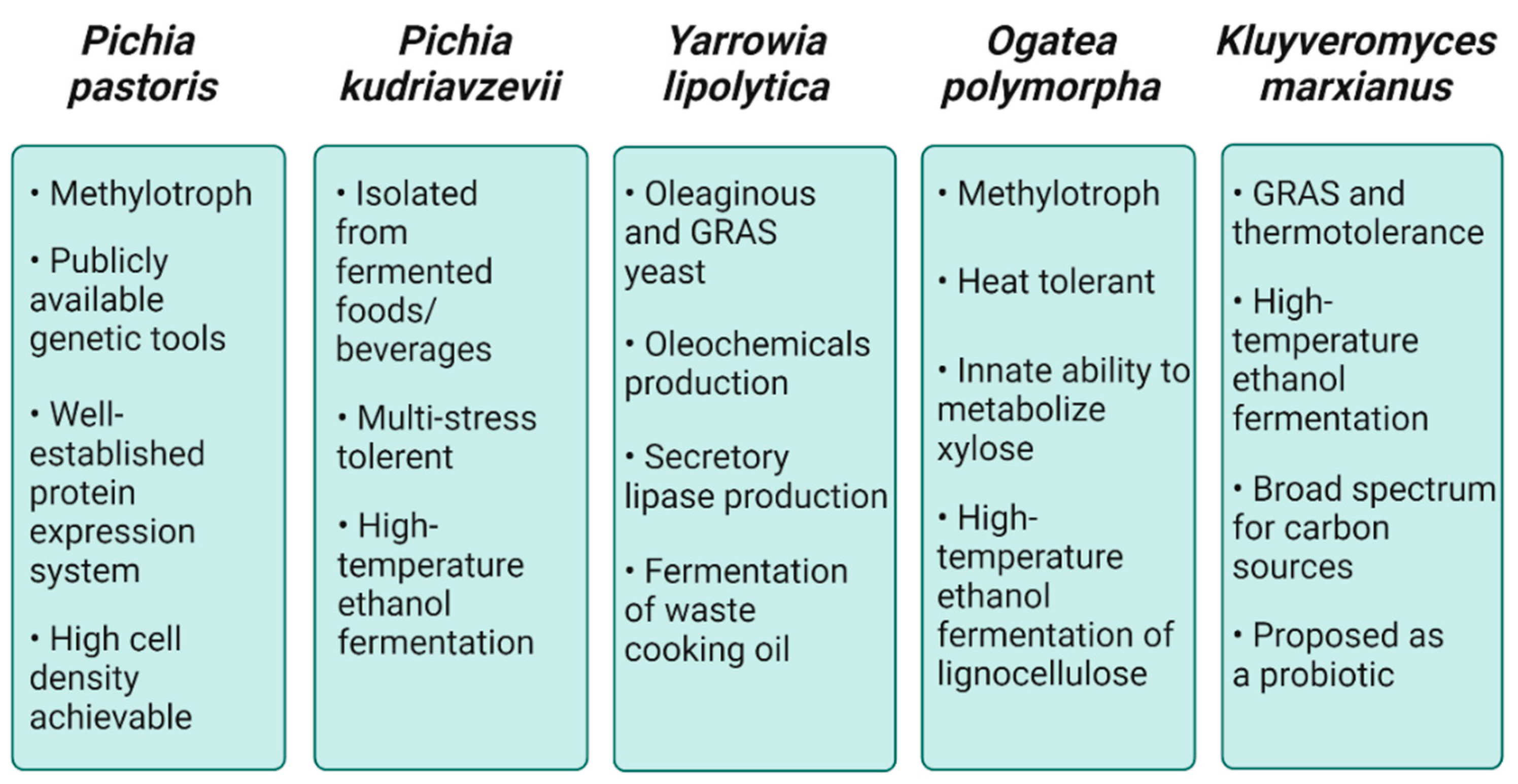 Fermentation 08 00656 g001 Fermentation 08 00656 g001