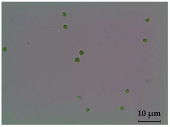 Fermentation 08 00658 i003