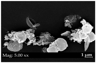 Fermentation 08 00658 i023