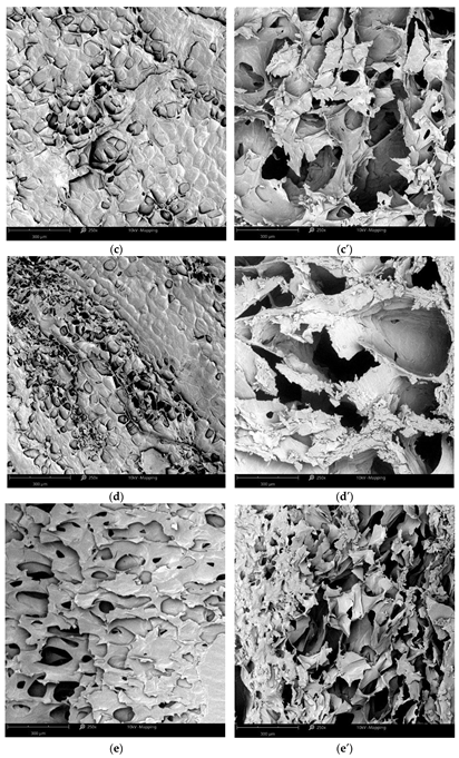 Fermentation 08 00659 g002b 550