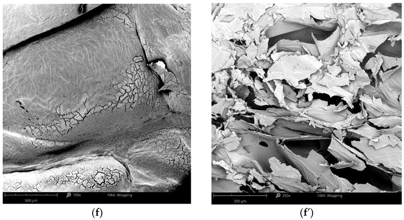 Fermentation 08 00659 g002c 550