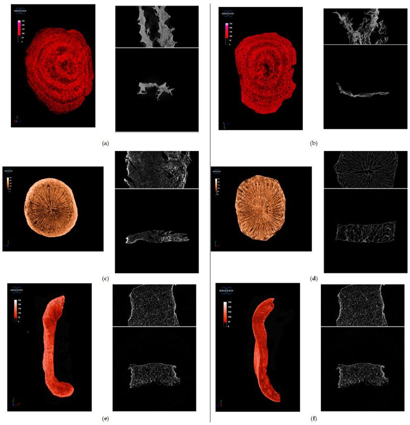 Fermentation 08 00659 g004 550