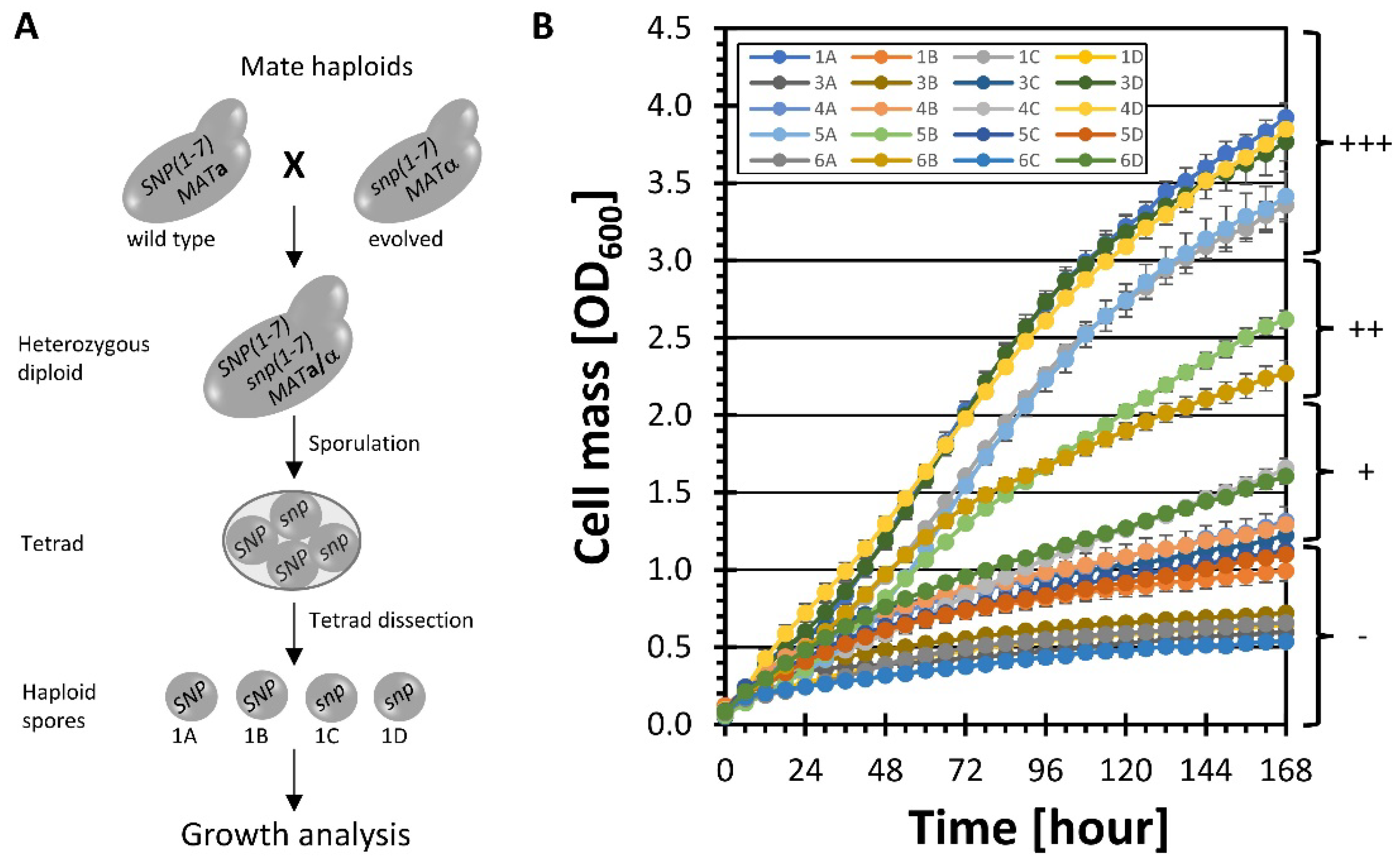 Fermentation 08 00669 g003