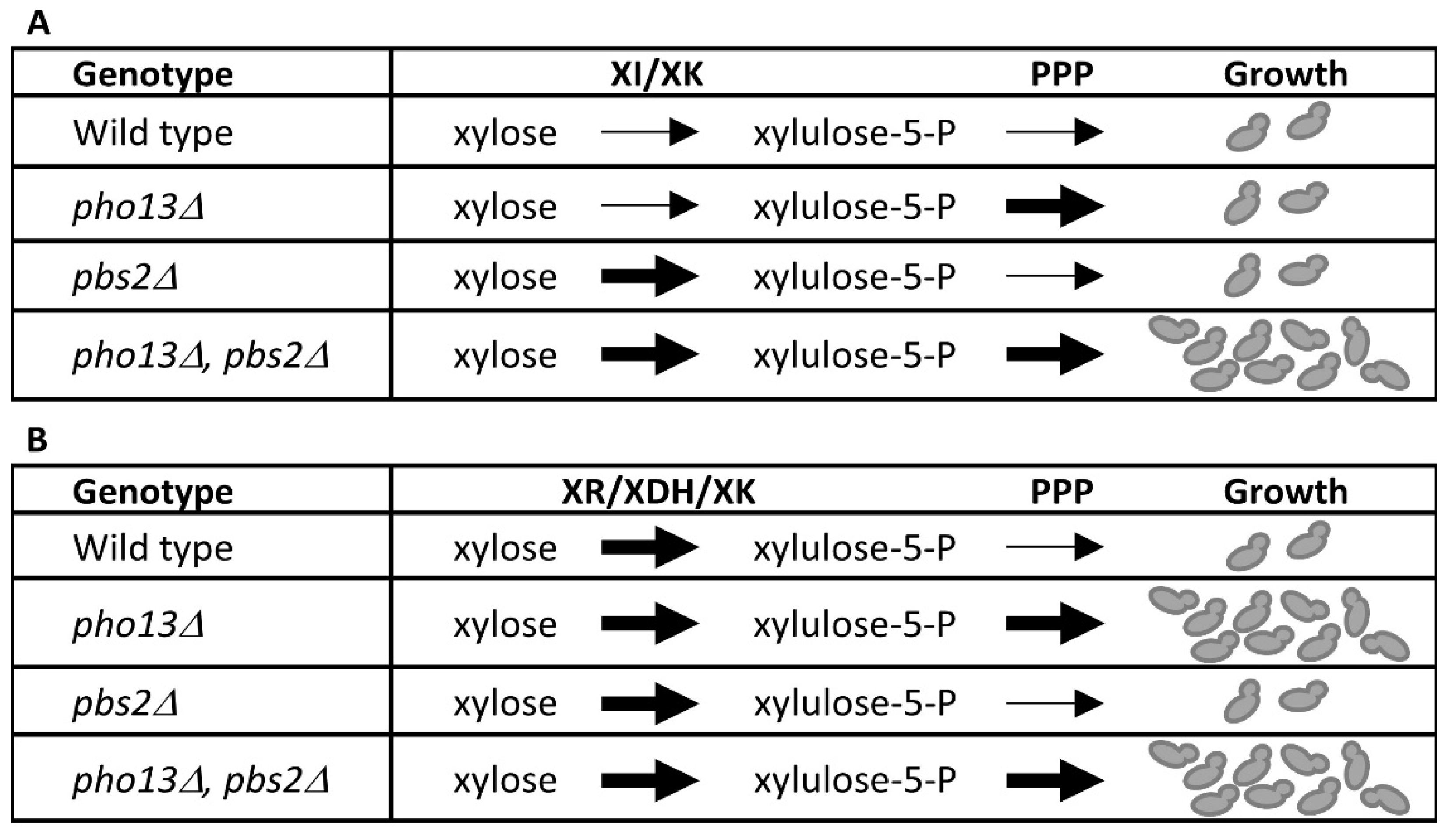 Fermentation 08 00669 g008