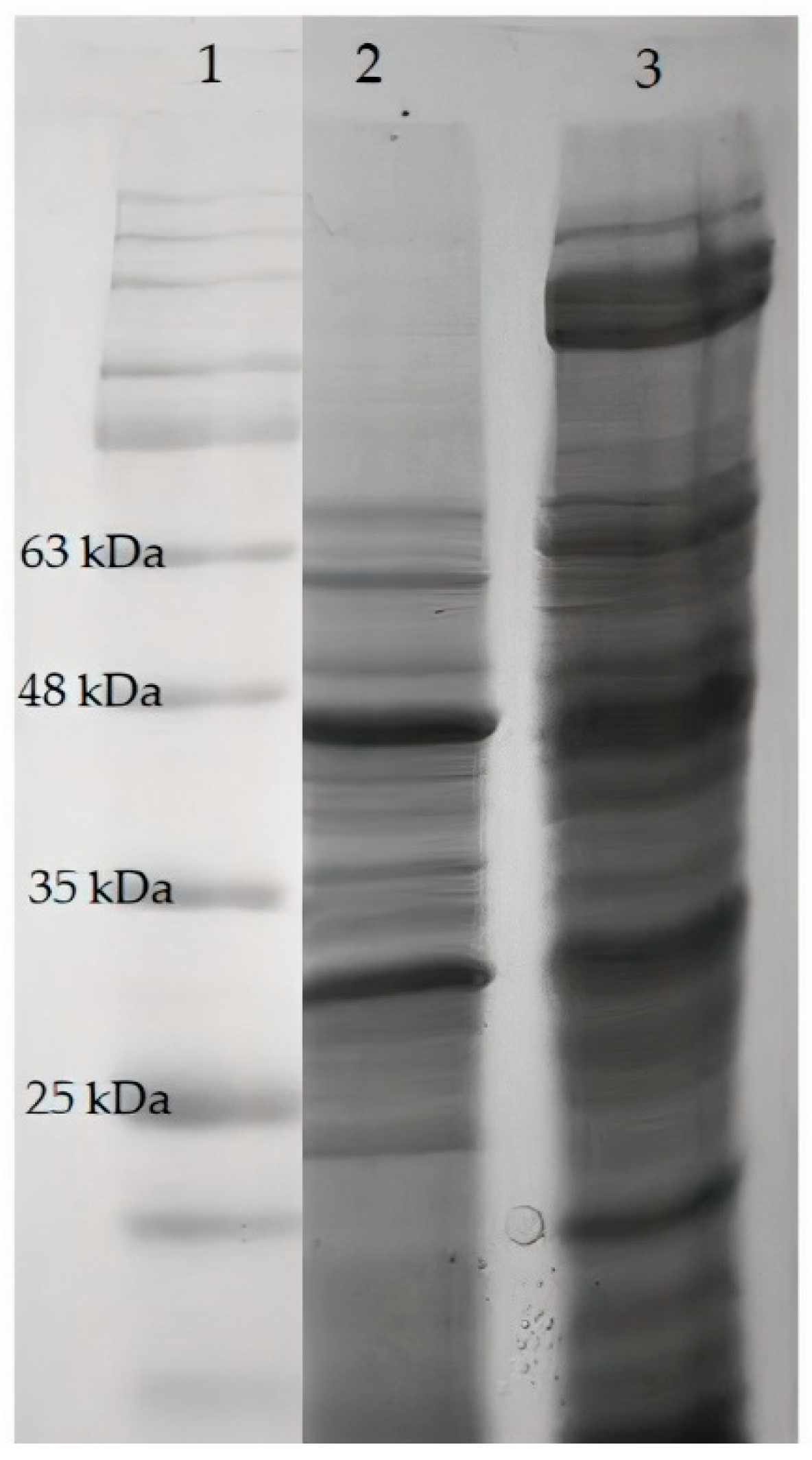 Fermentation 08 00675 g003 Fermentation 08 00675 g003