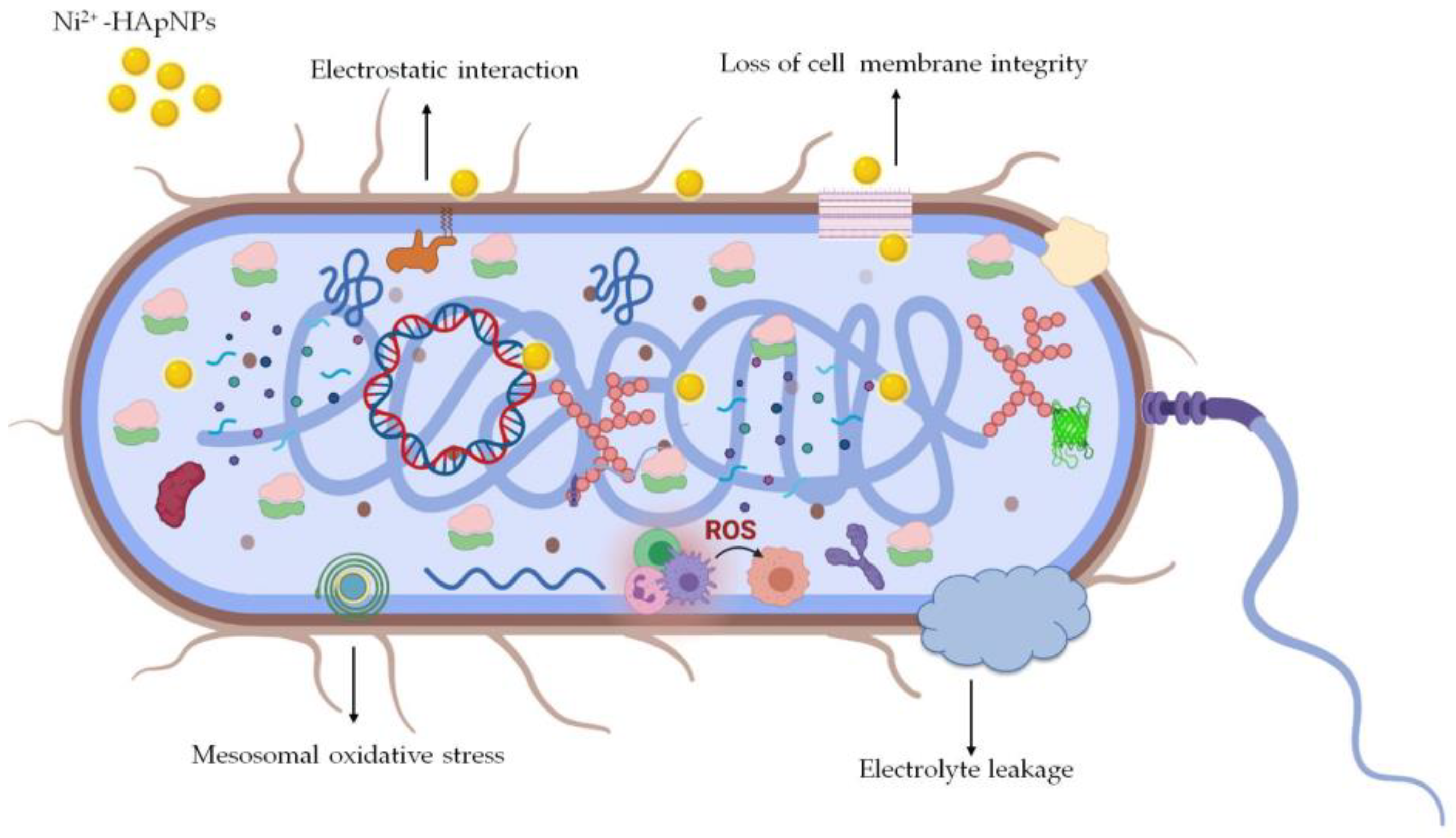 Fermentation 08 00677 g008