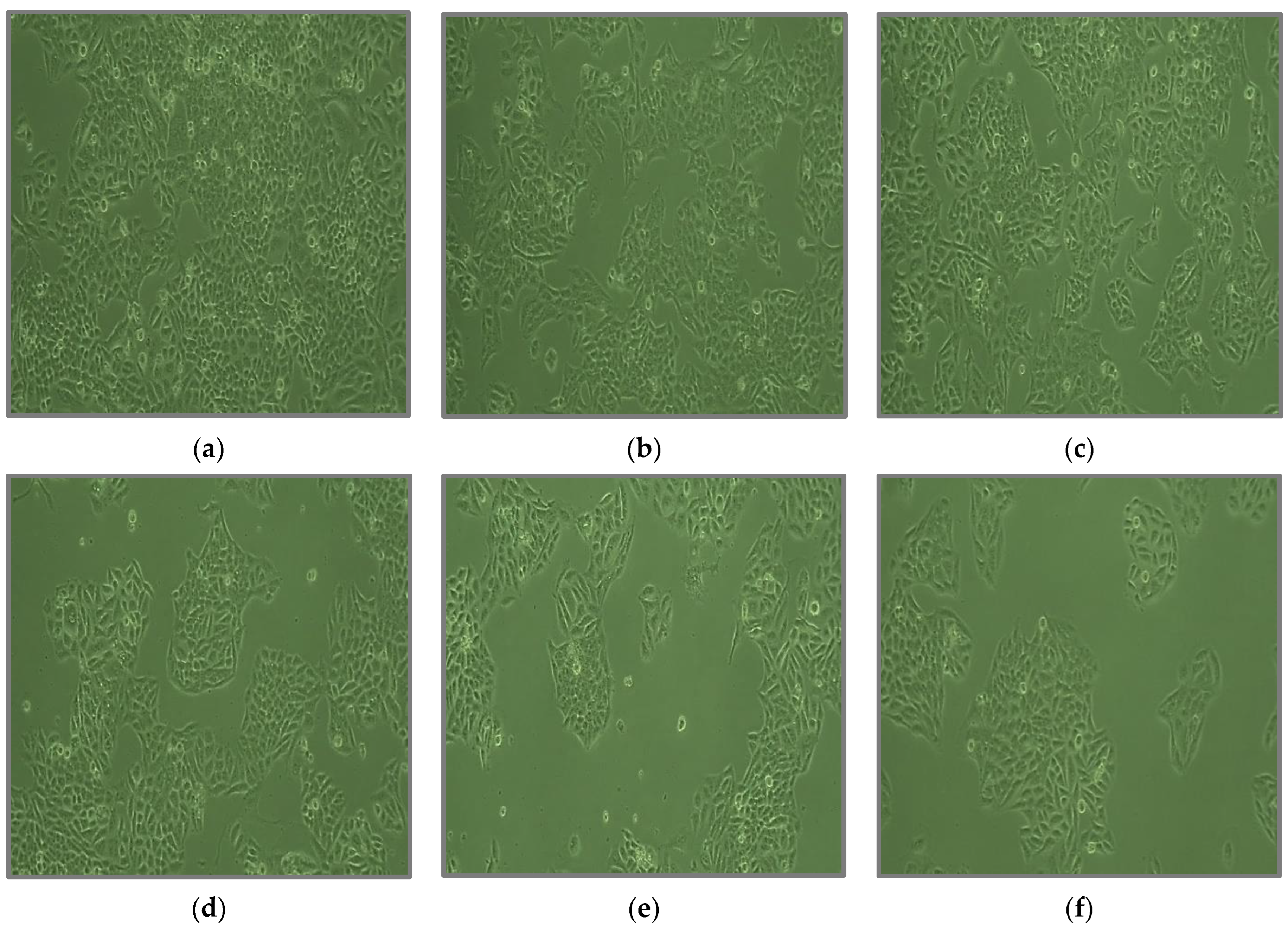 Fermentation 08 00677 g011