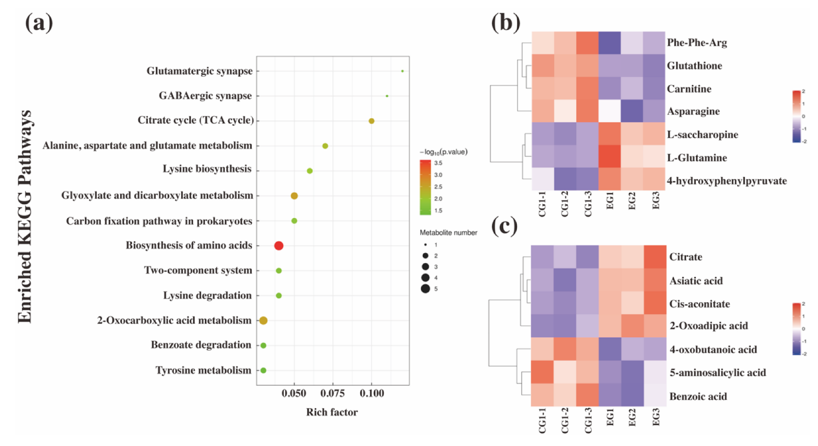 Fermentation 08 00681 g003