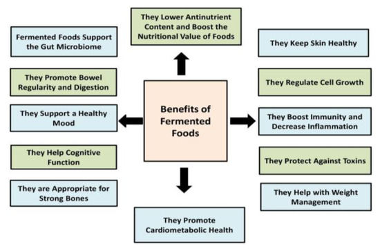 Fermentation, Free Full-Text