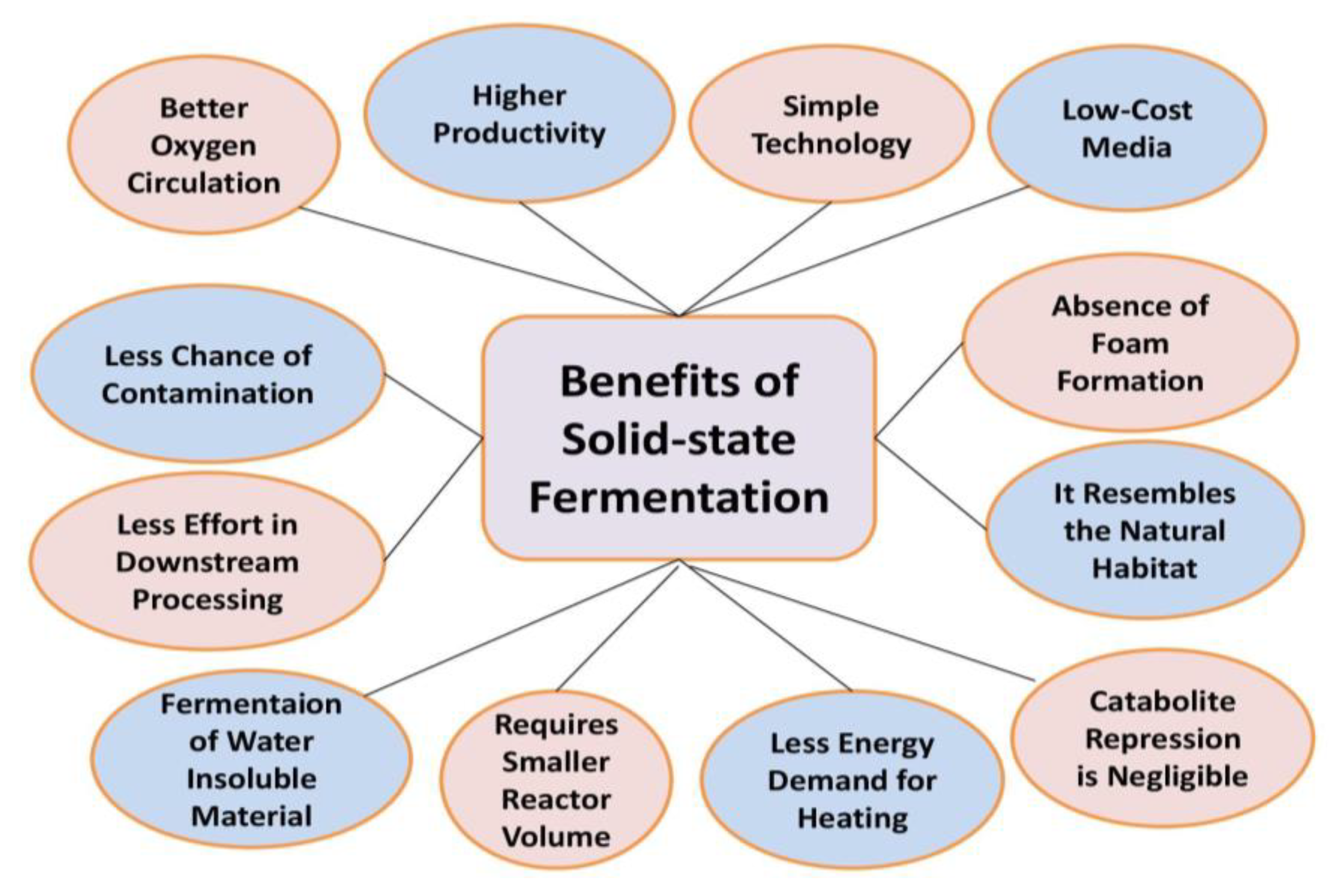 Fermentation 08 00688 g002 Fermentation 08 00688 g002