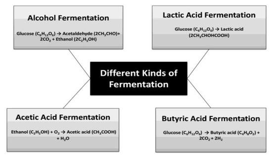 Yeast fermentation principle for drinks and food outline diagram. Labeled  educational chemical process with glucose and pyruvate steps vector  illustration. Added ingredients and final acid products. Stock Vector