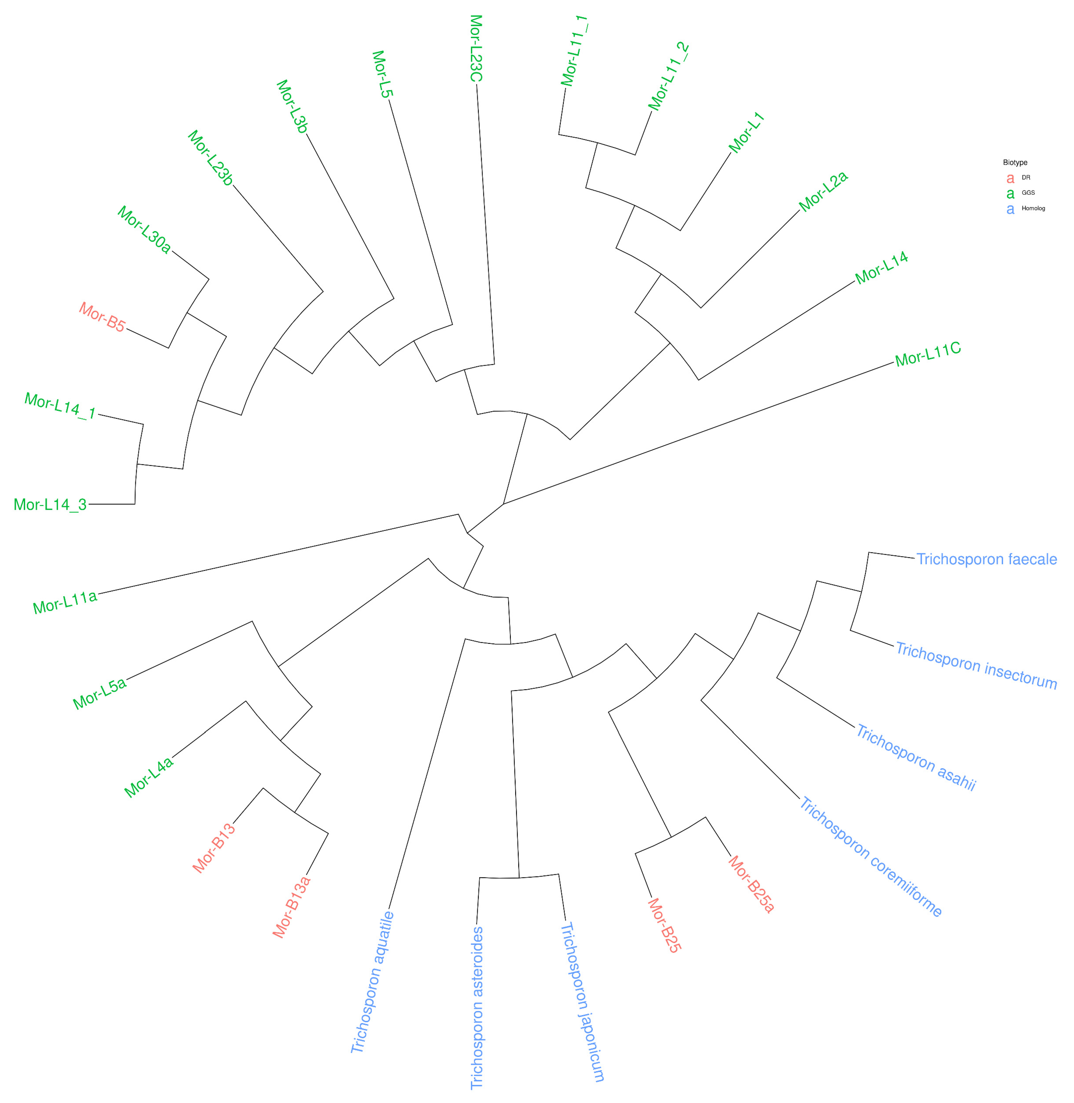 Fermentation 08 00692 g009 Fermentation 08 00692 g009