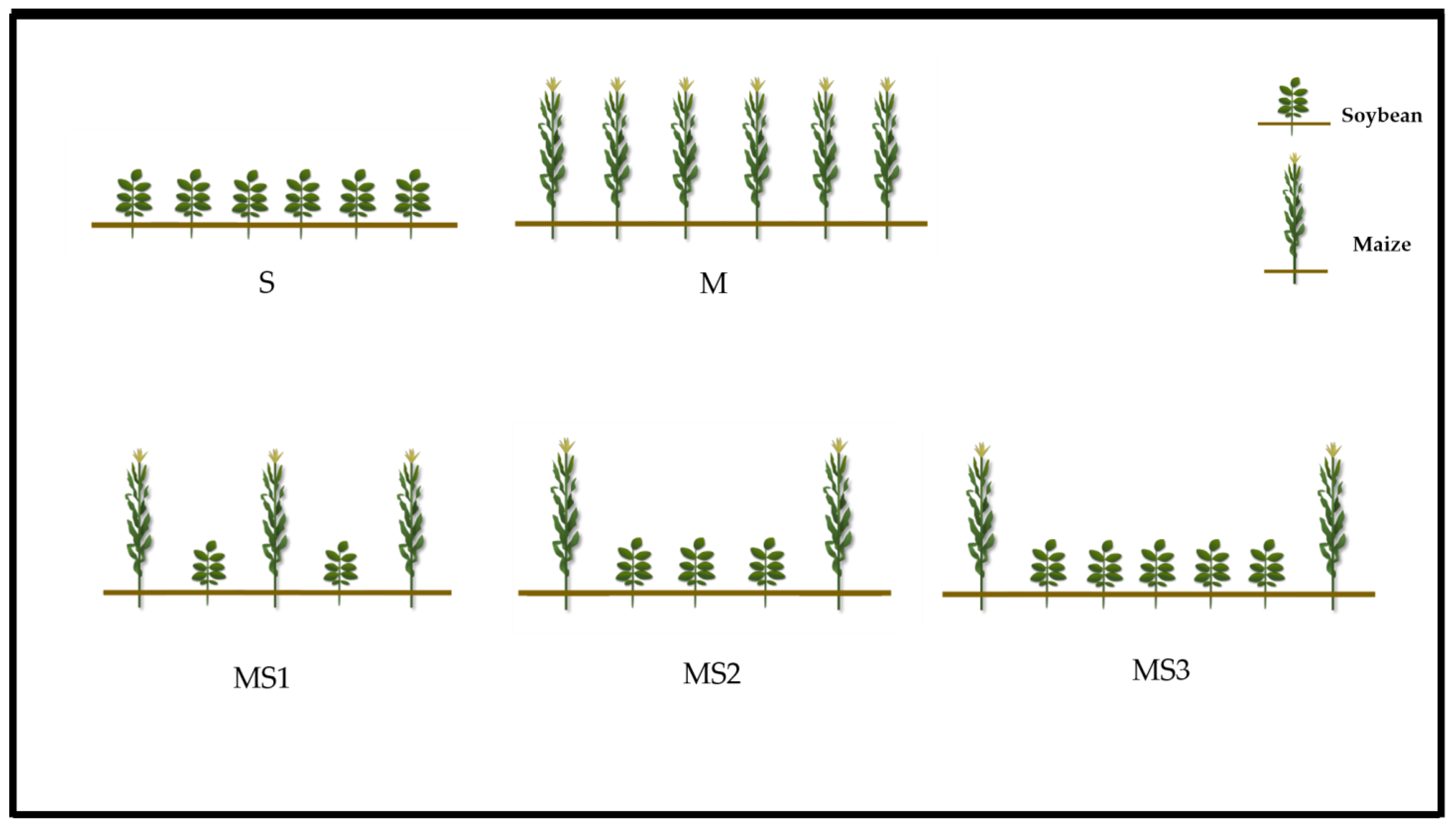 Fermentation 08 00696 g001 Fermentation 08 00696 g001