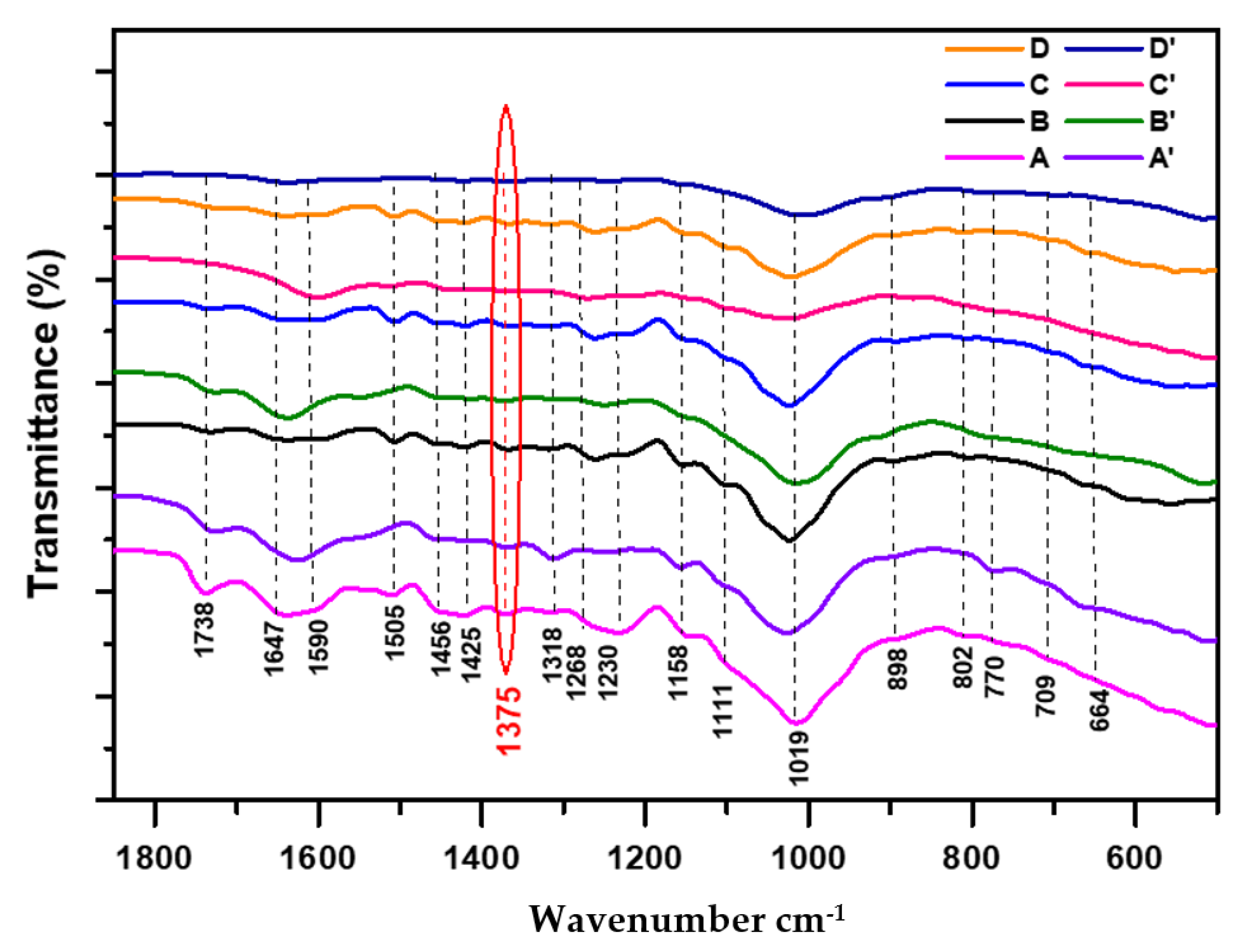 Fermentation 08 00698 g003