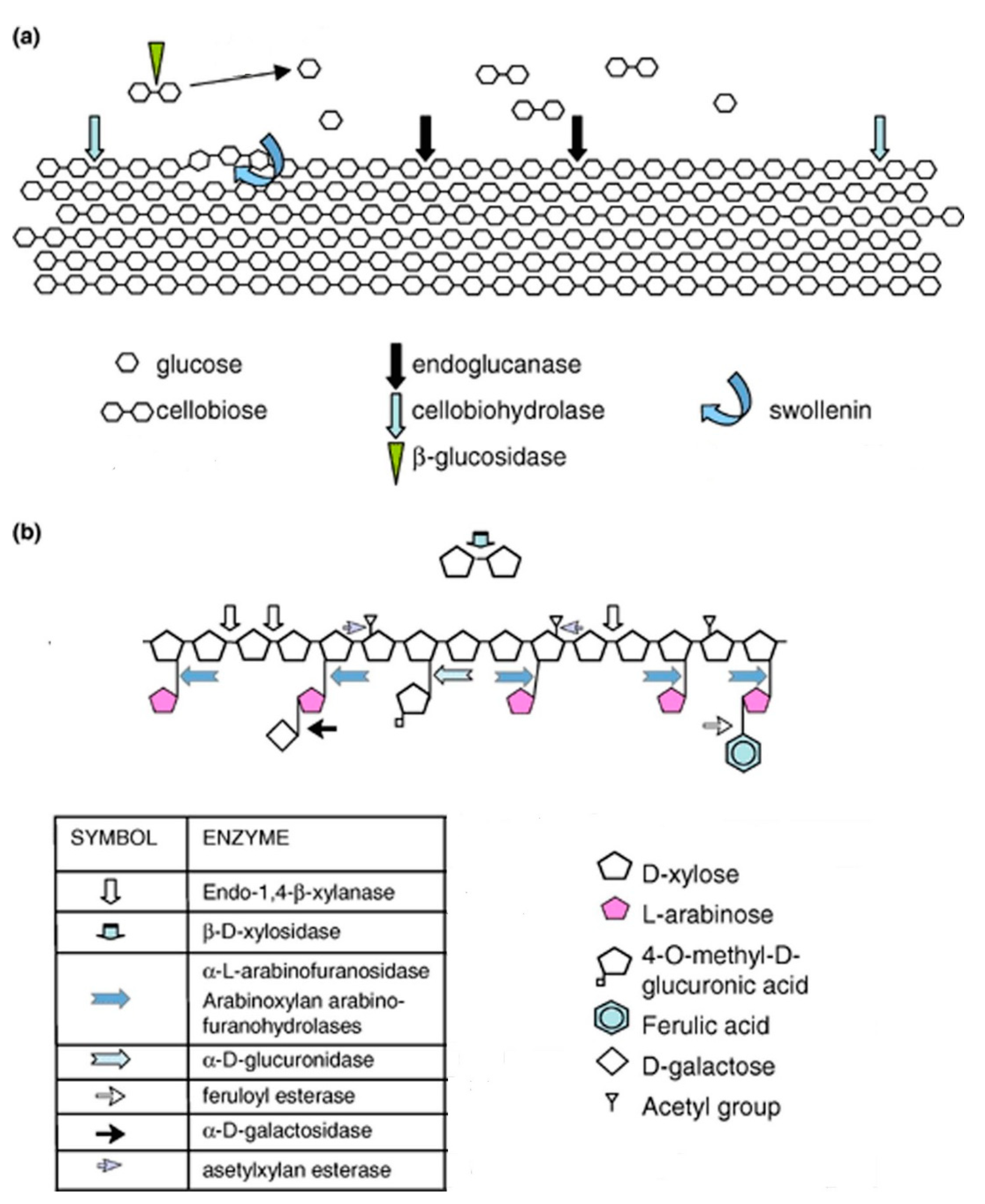 Fermentation 08 00705 g002