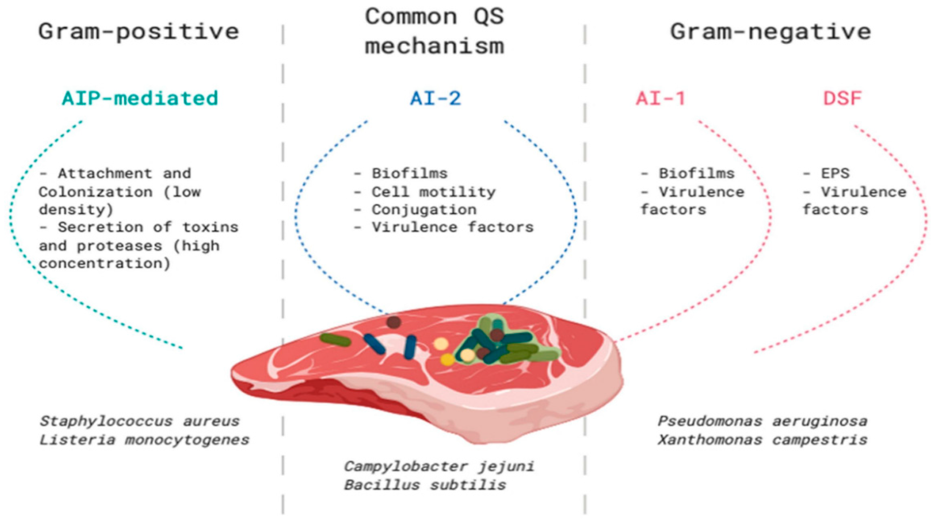Fermentation 08 00711 g001 Fermentation 08 00711 g001