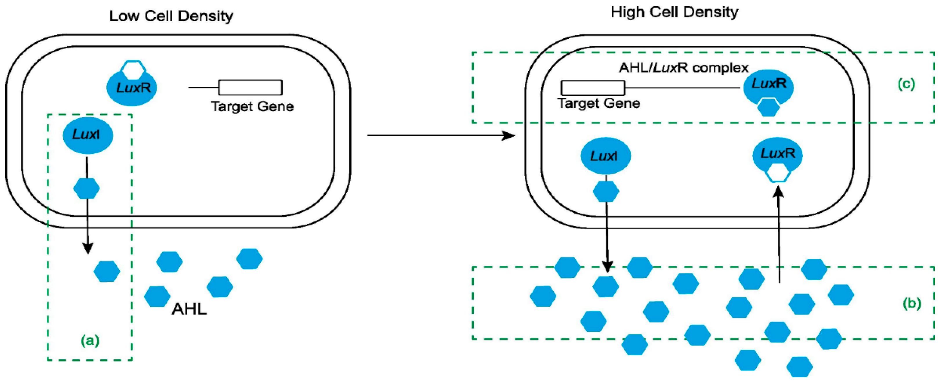 Fermentation 08 00711 g002 Fermentation 08 00711 g002
