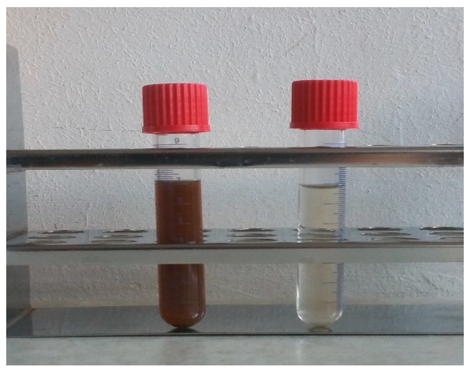 Fermentation 08 00715 g001