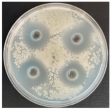 Fermentation 08 00716 i006