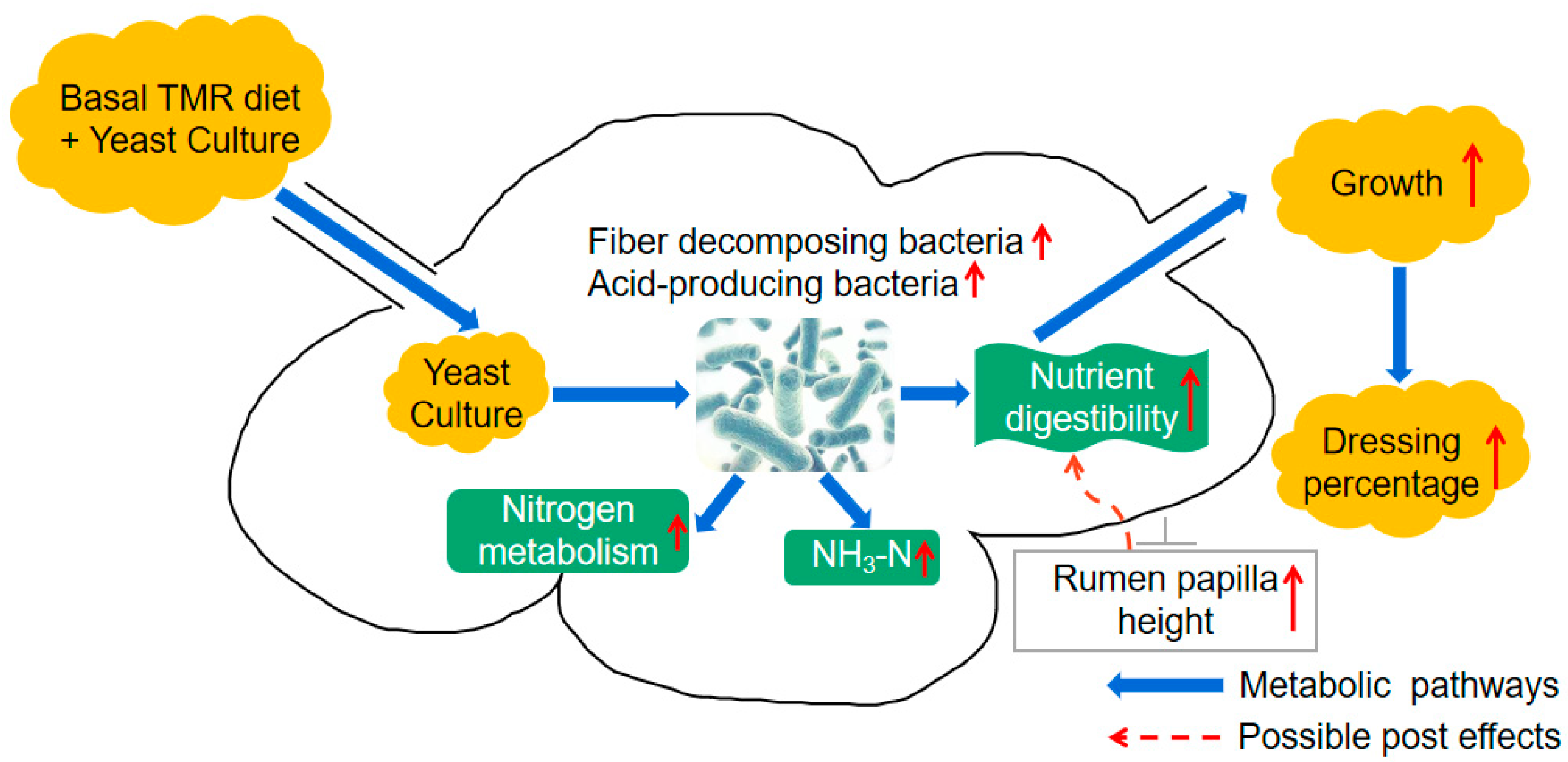 Fermentation 08 00719 g006