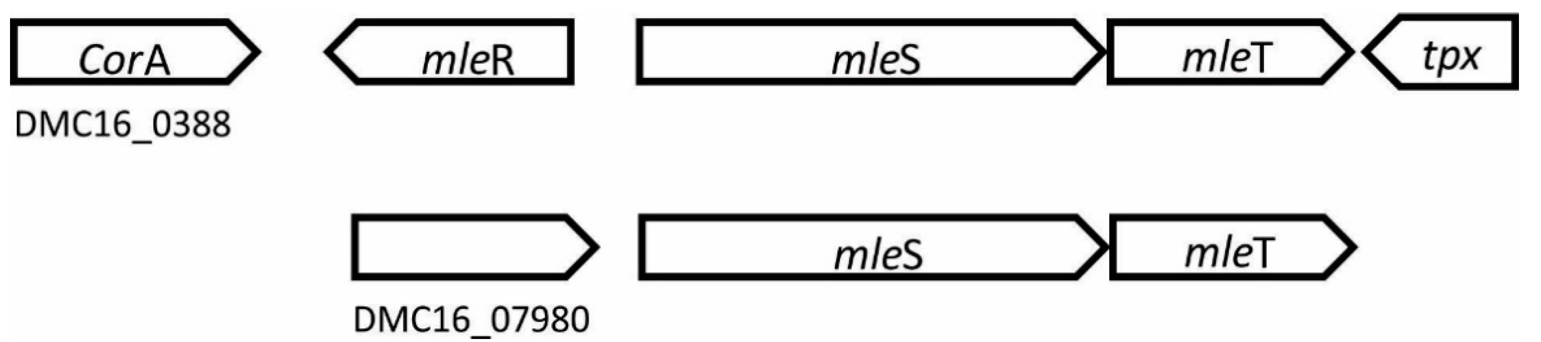 Fermentation 08 00726 g004