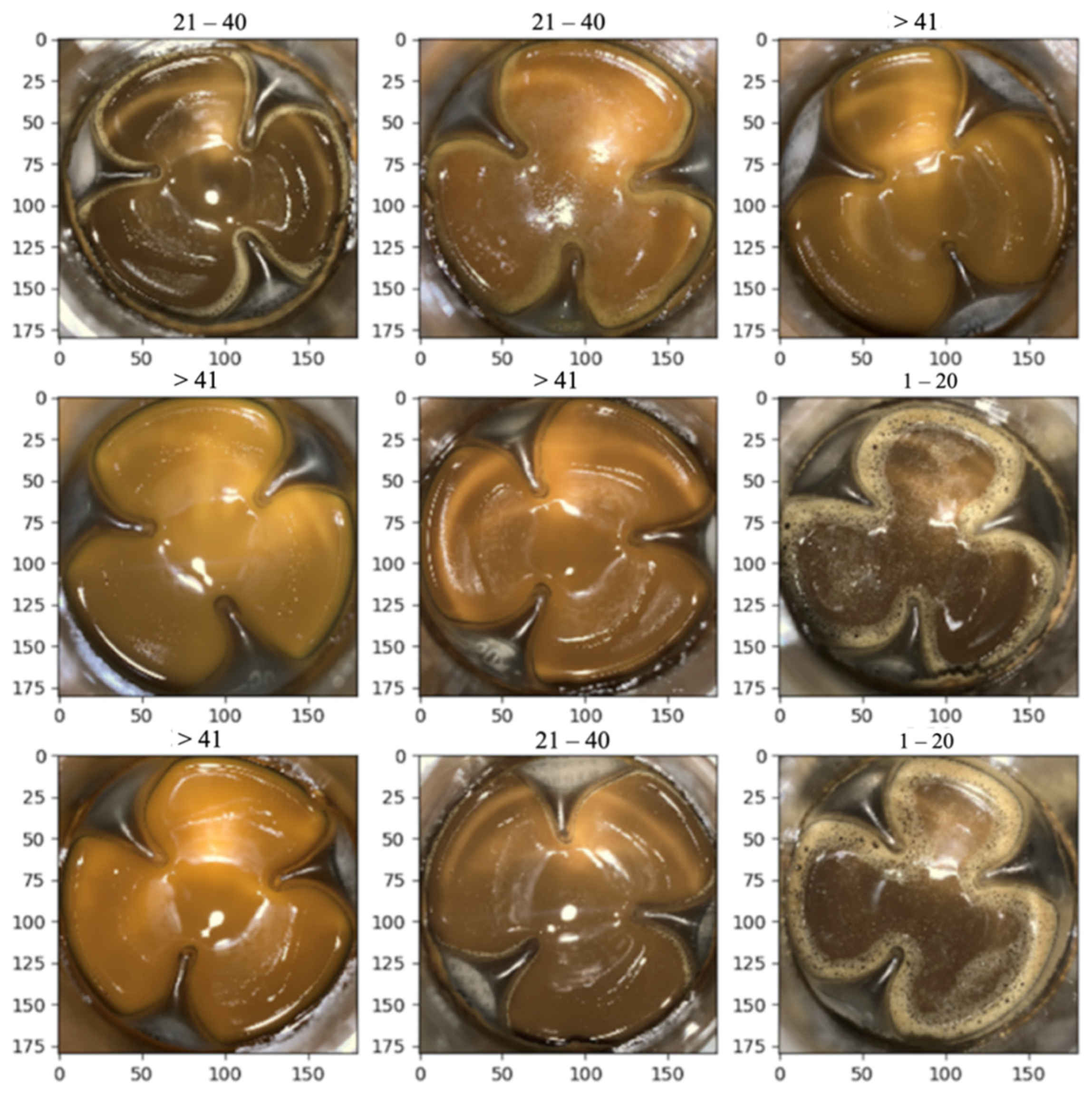 Fermentation 08 00729 g004 Fermentation 08 00729 g004
