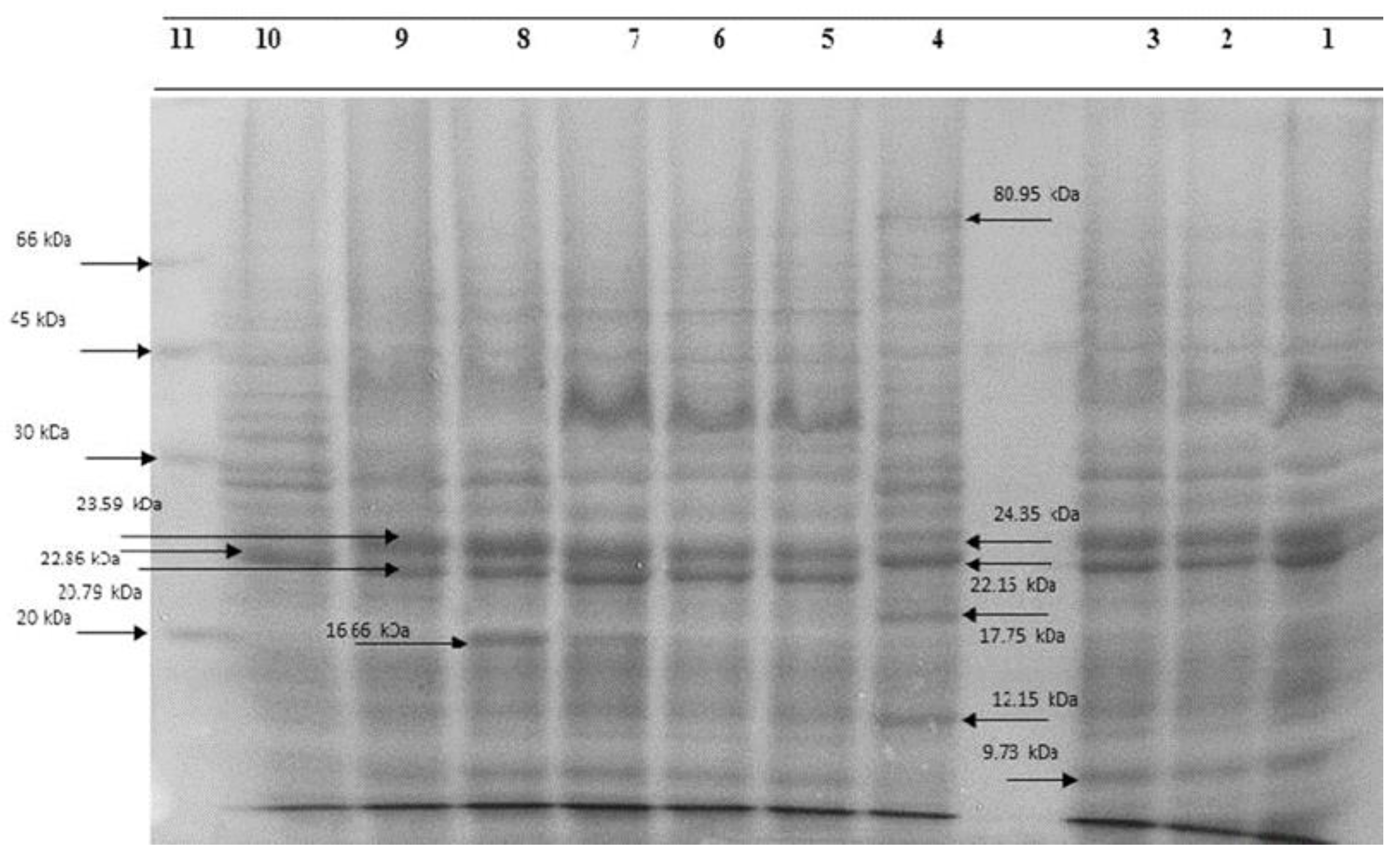 Fermentation 08 00730 g002 Fermentation 08 00730 g002
