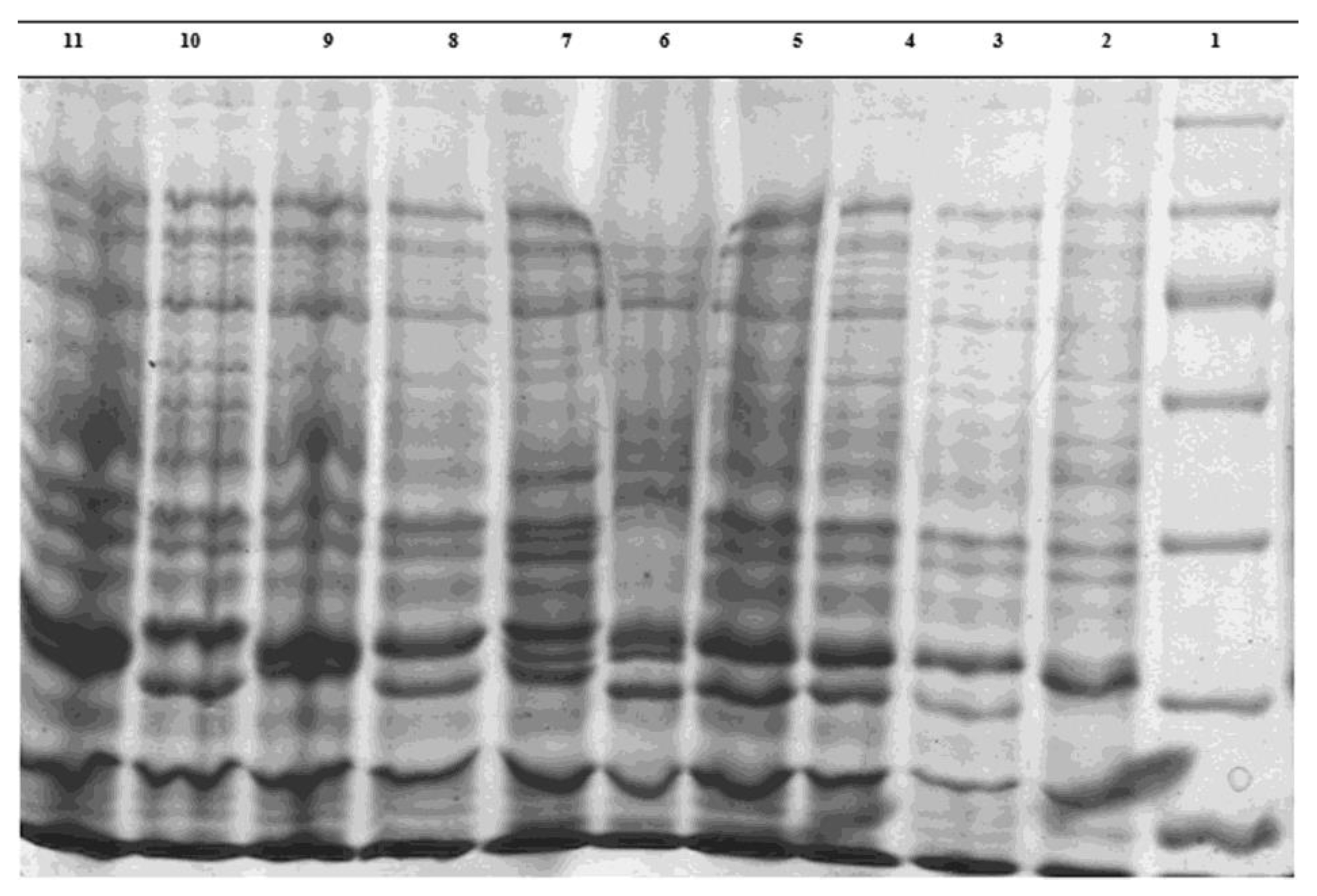 Fermentation 08 00730 g003 Fermentation 08 00730 g003