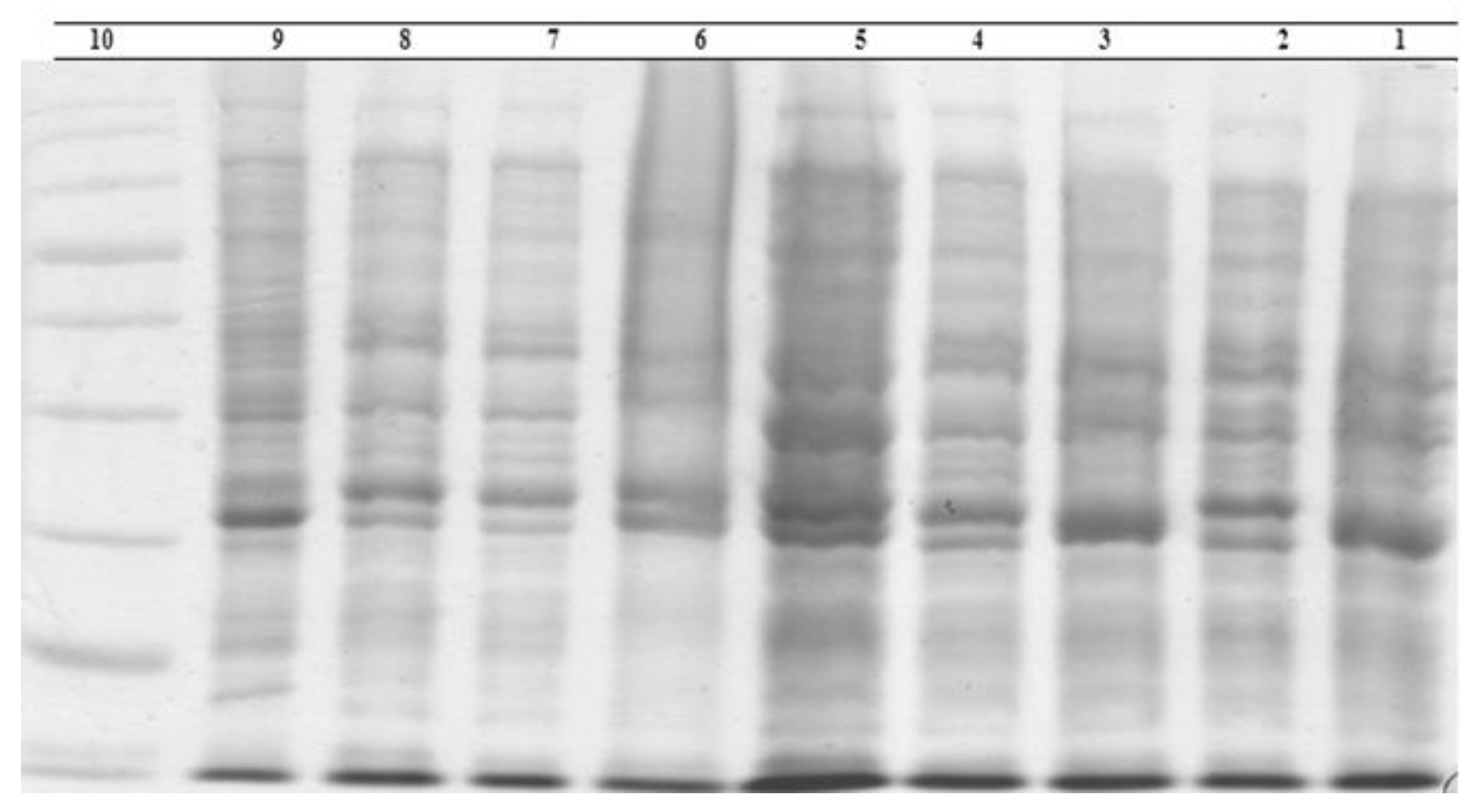 Fermentation 08 00730 g004 Fermentation 08 00730 g004