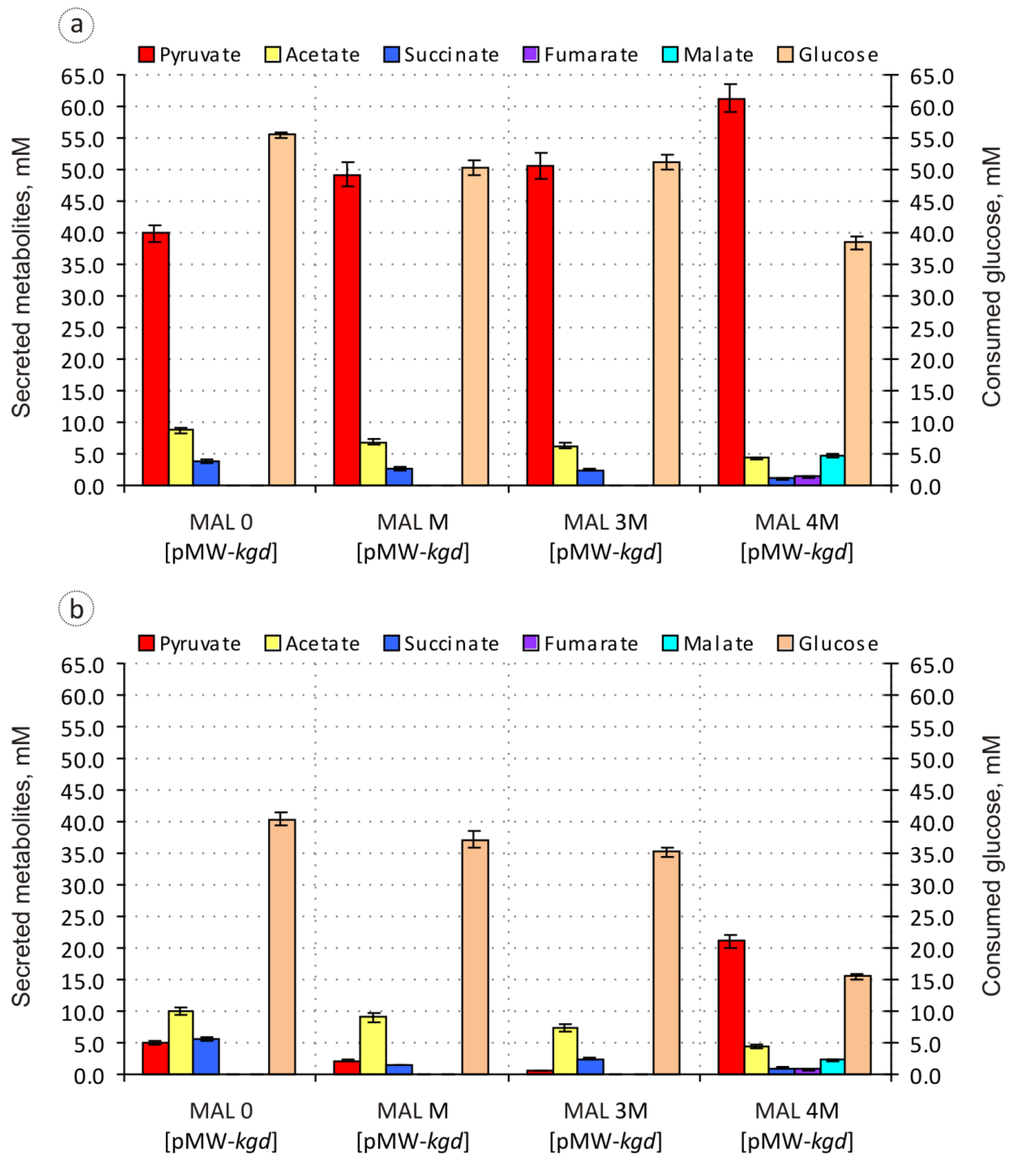 Fermentation 08 00738 g002