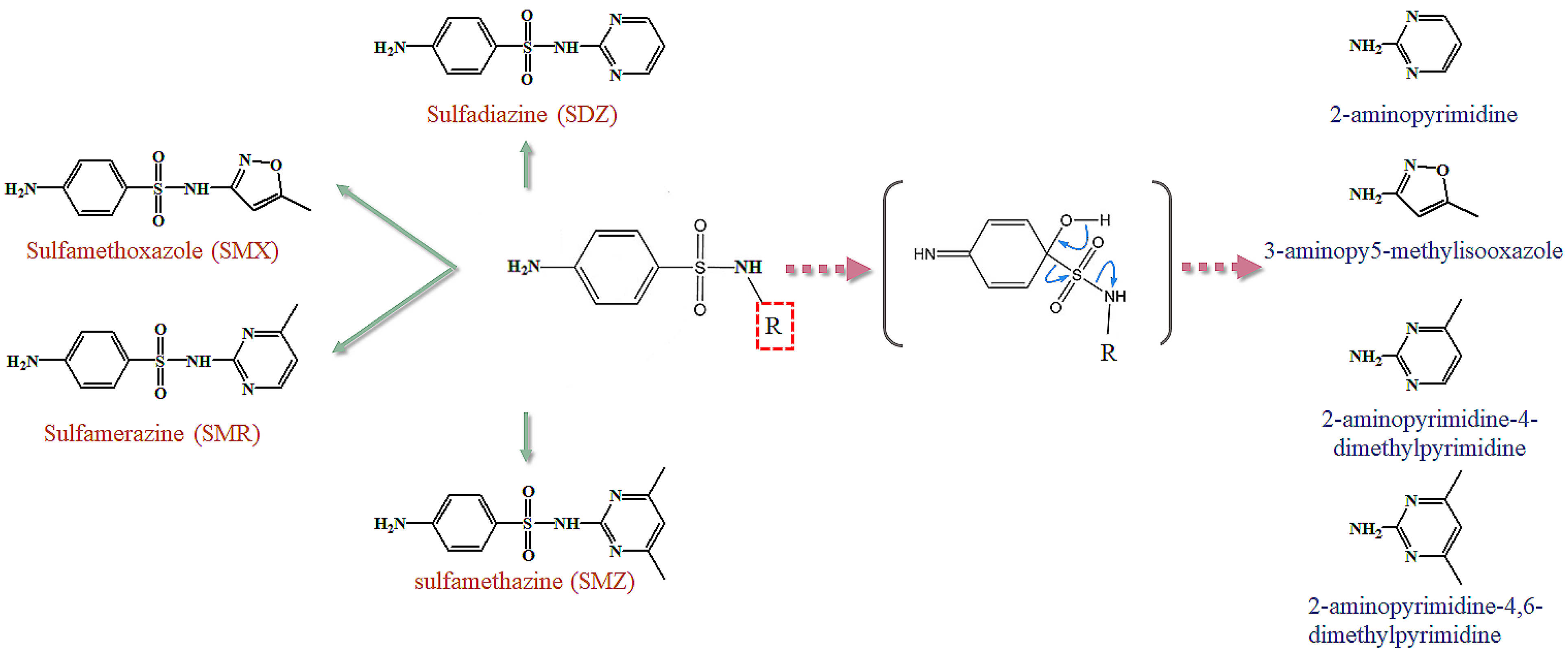 Fermentation 08 00742 g001 Fermentation 08 00742 g001