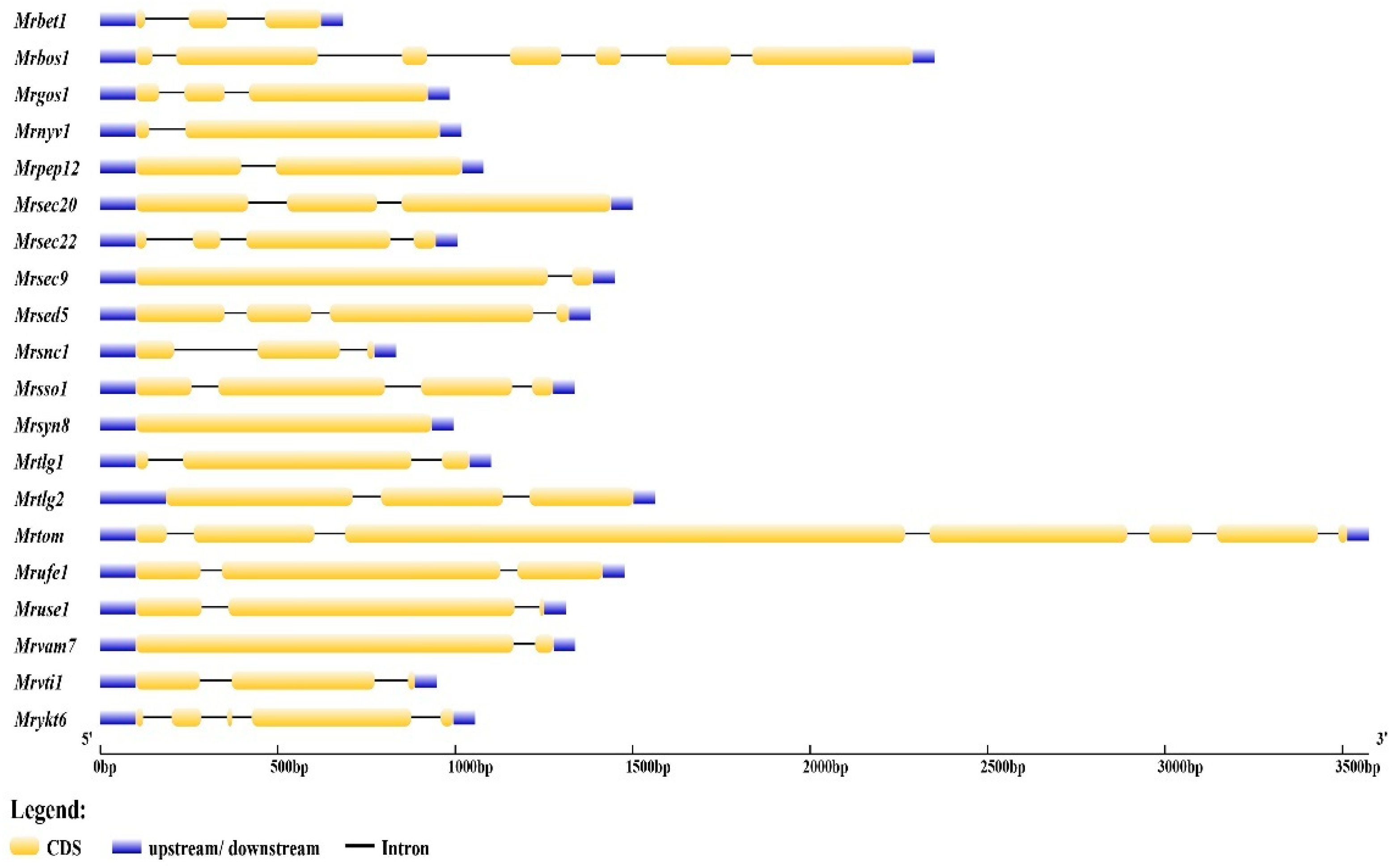 Fermentation 08 00750 g001 Fermentation 08 00750 g001
