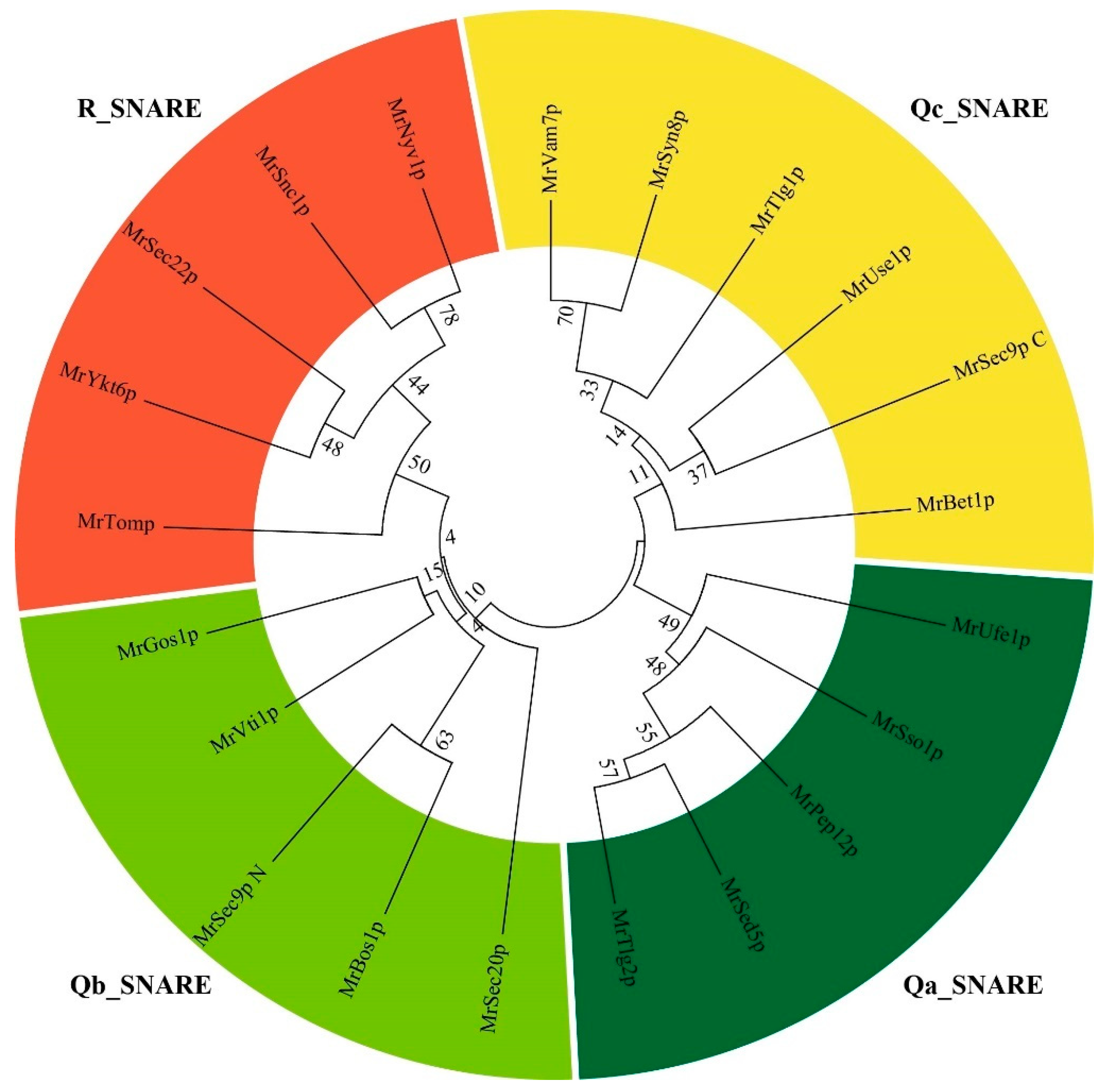 Fermentation 08 00750 g004 Fermentation 08 00750 g004