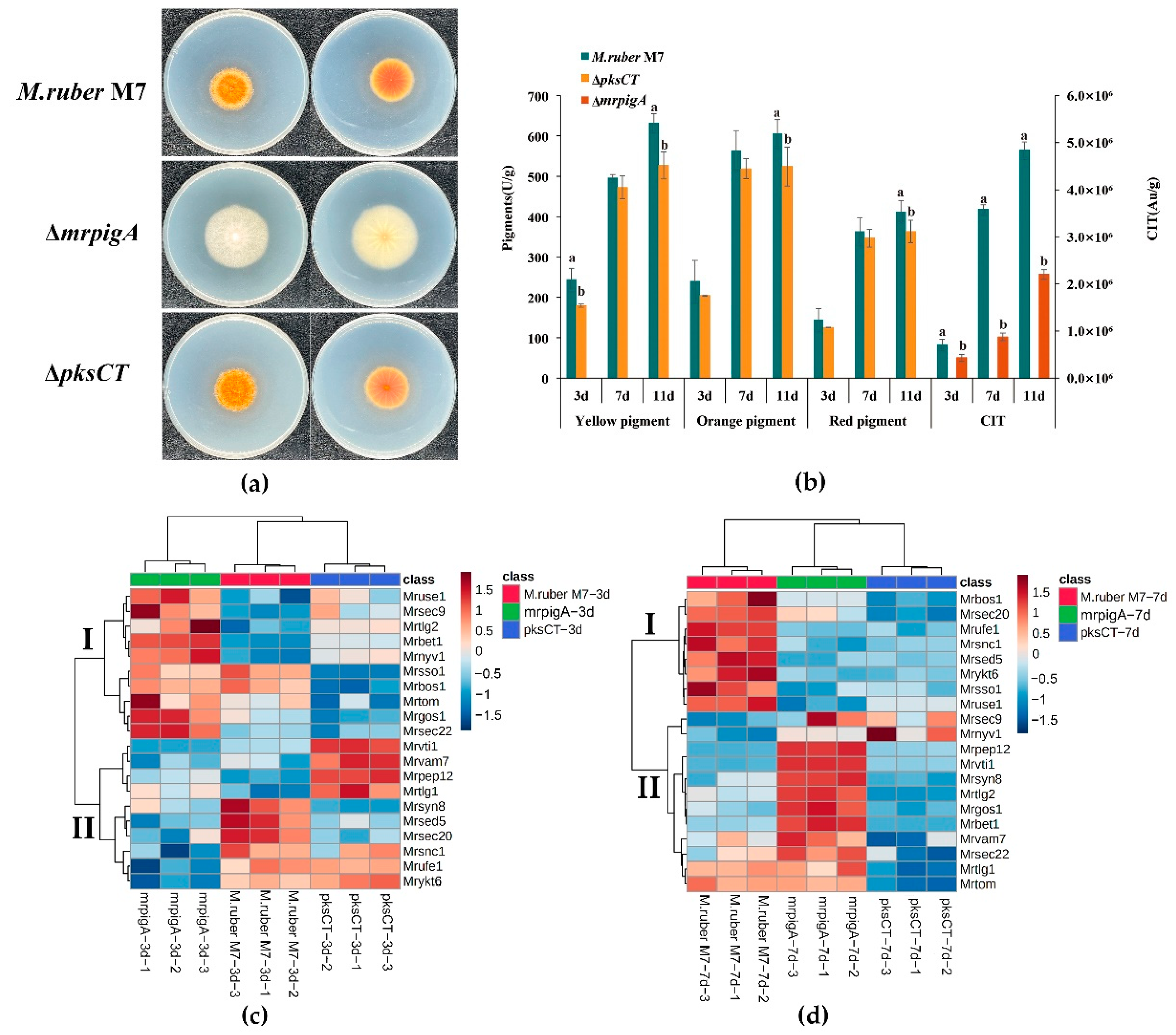 Fermentation 08 00750 g006 Fermentation 08 00750 g006