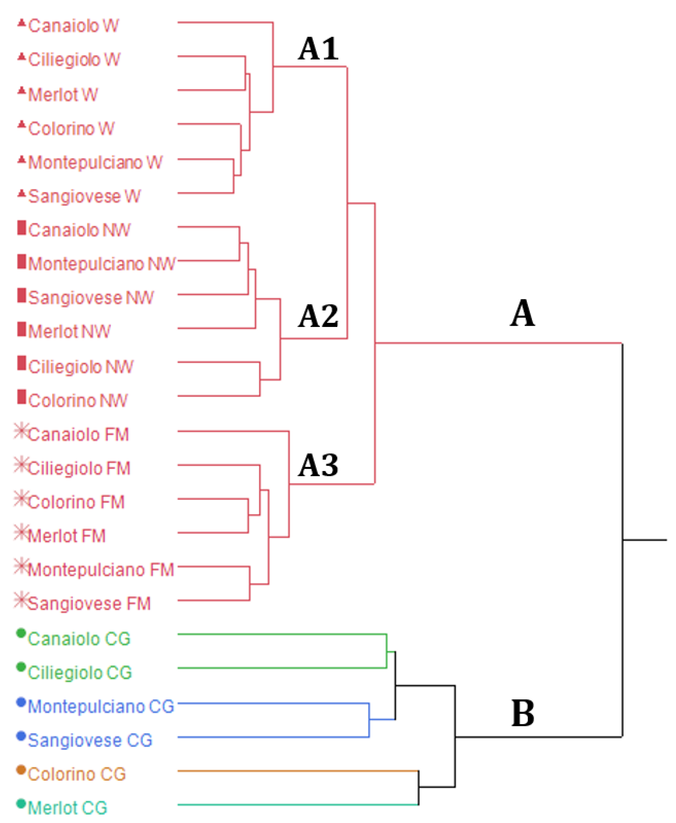 Fermentation 08 00753 g001
