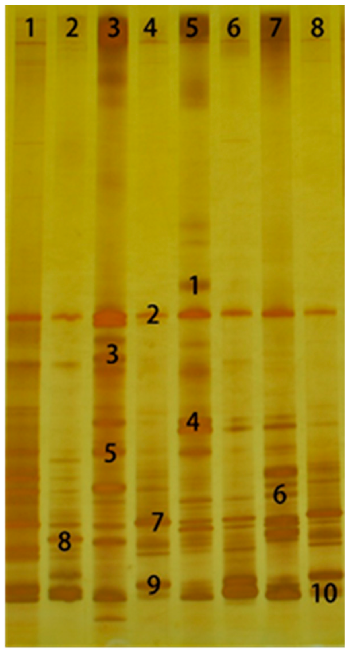 Fermentation 08 00755 g003