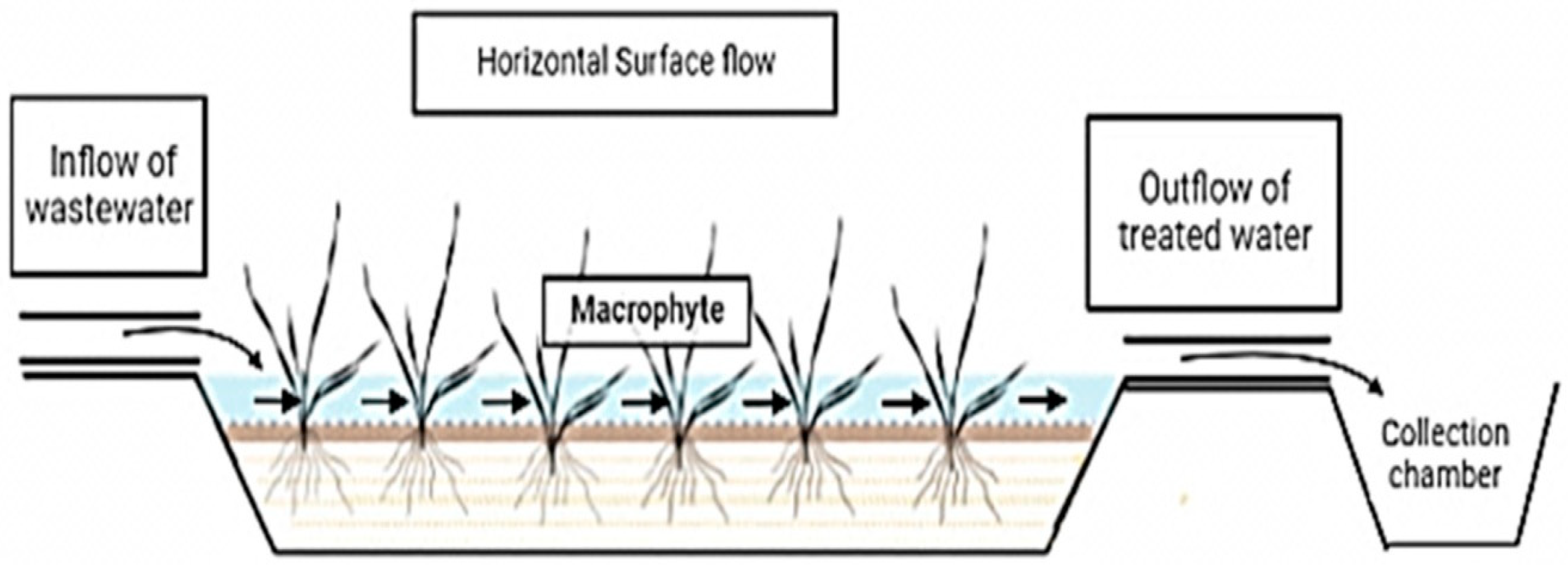 Fermentation 09 00006 g002 Fermentation 09 00006 g002