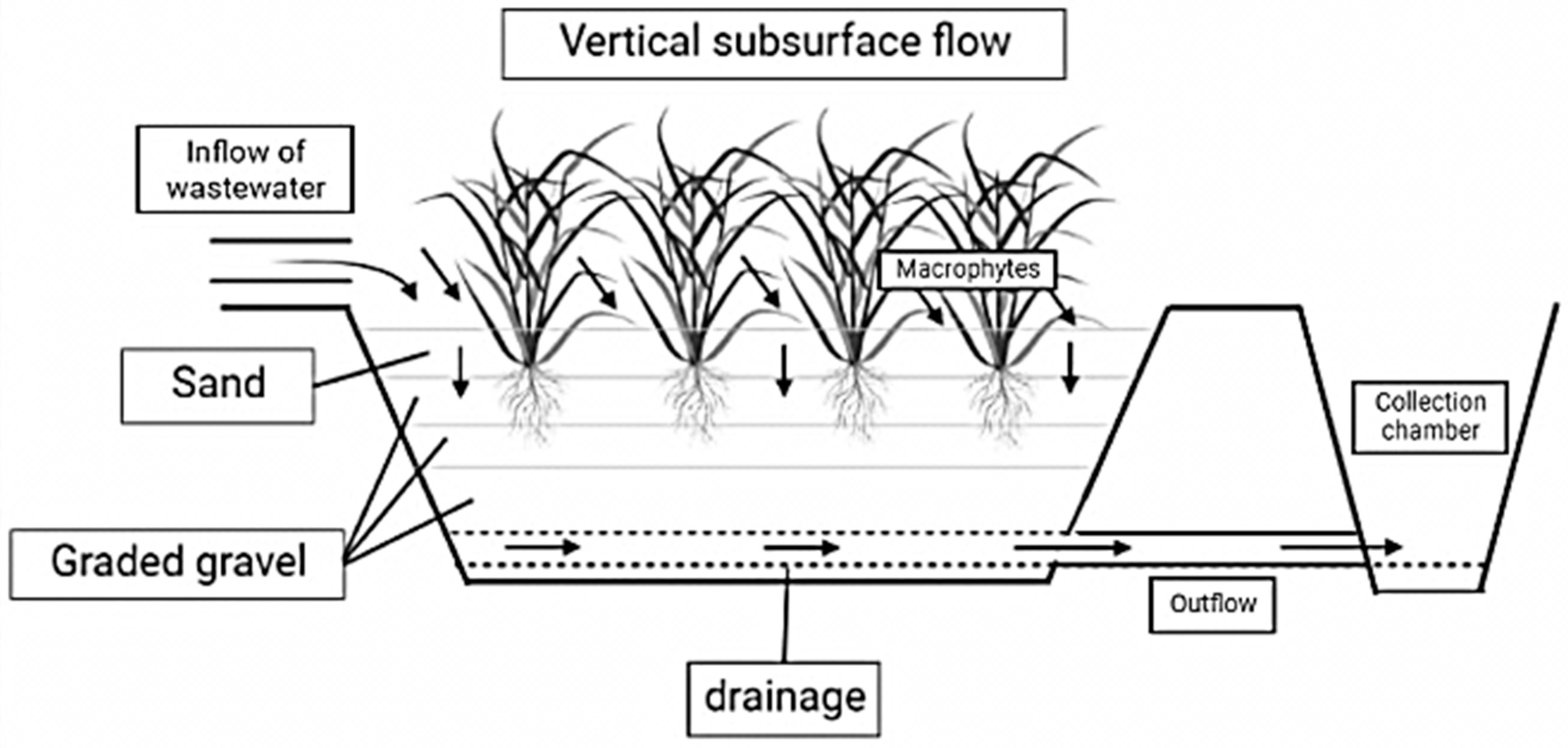 Fermentation 09 00006 g003 Fermentation 09 00006 g003