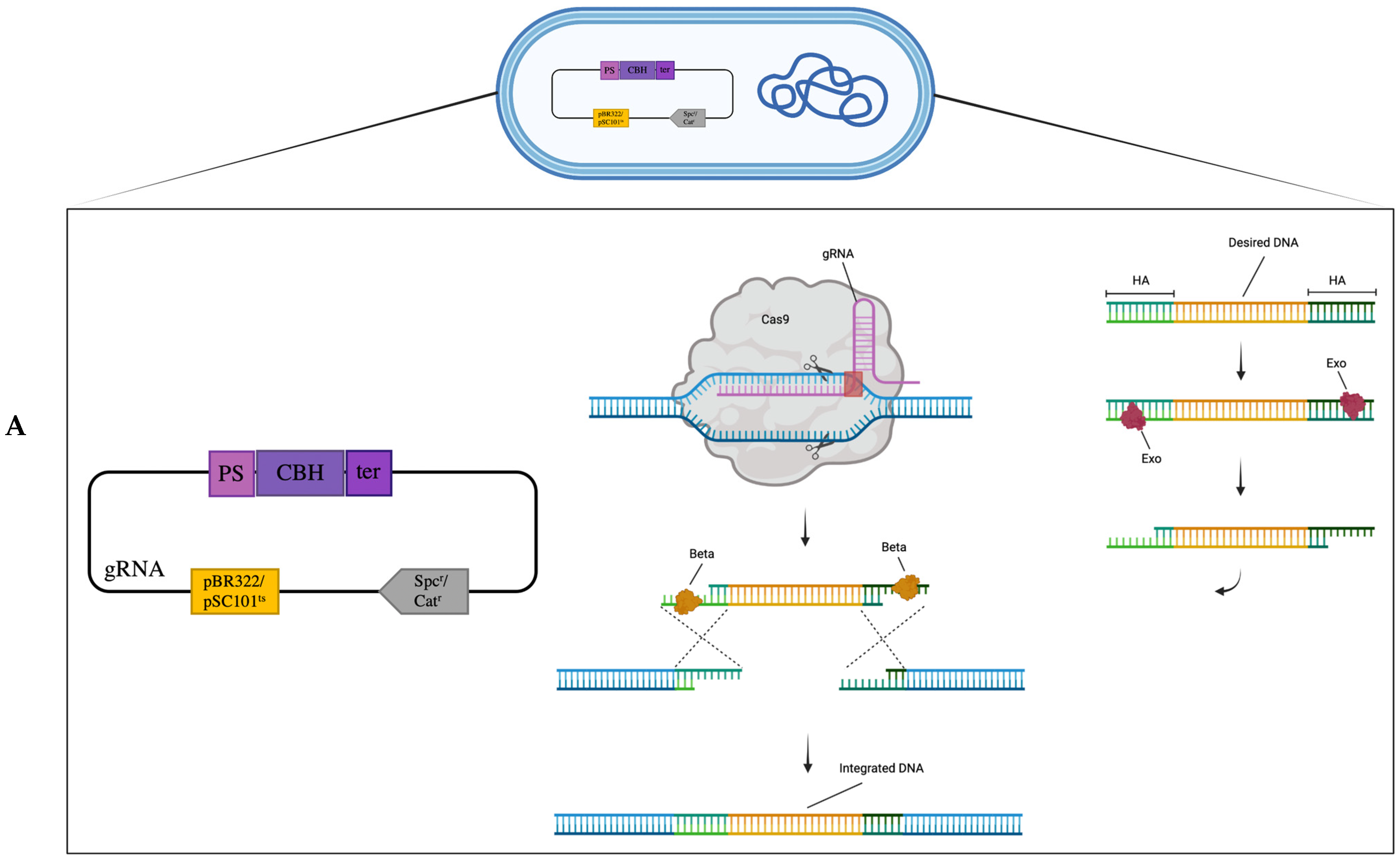 Fermentation 09 00014 g001a