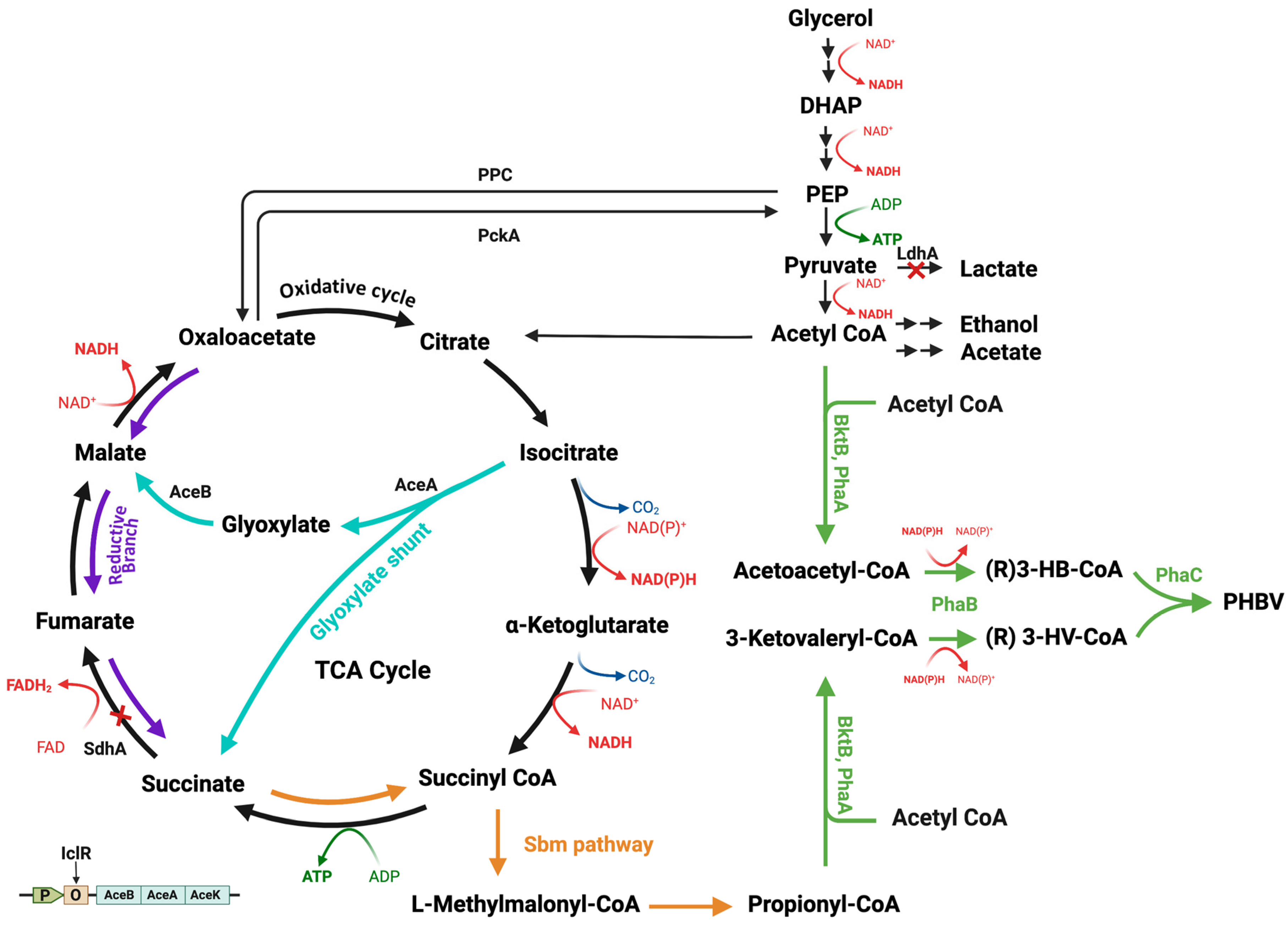 Fermentation 09 00014 g002