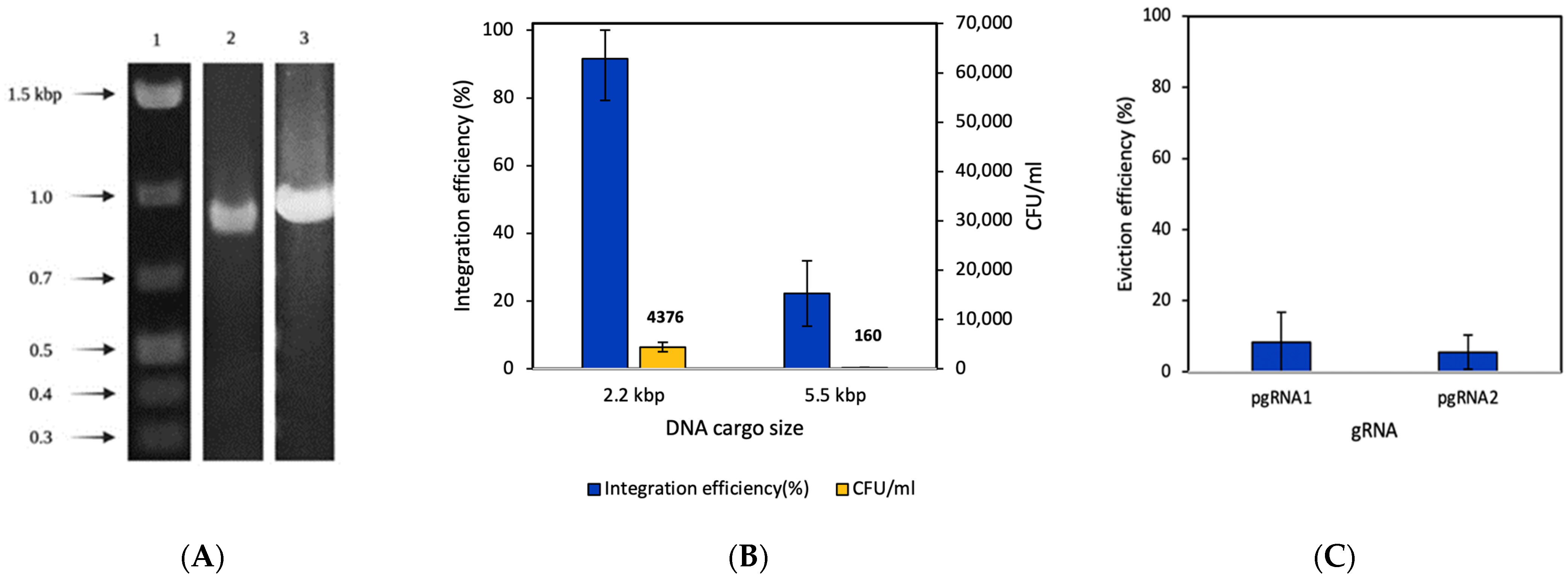 Fermentation 09 00014 g003