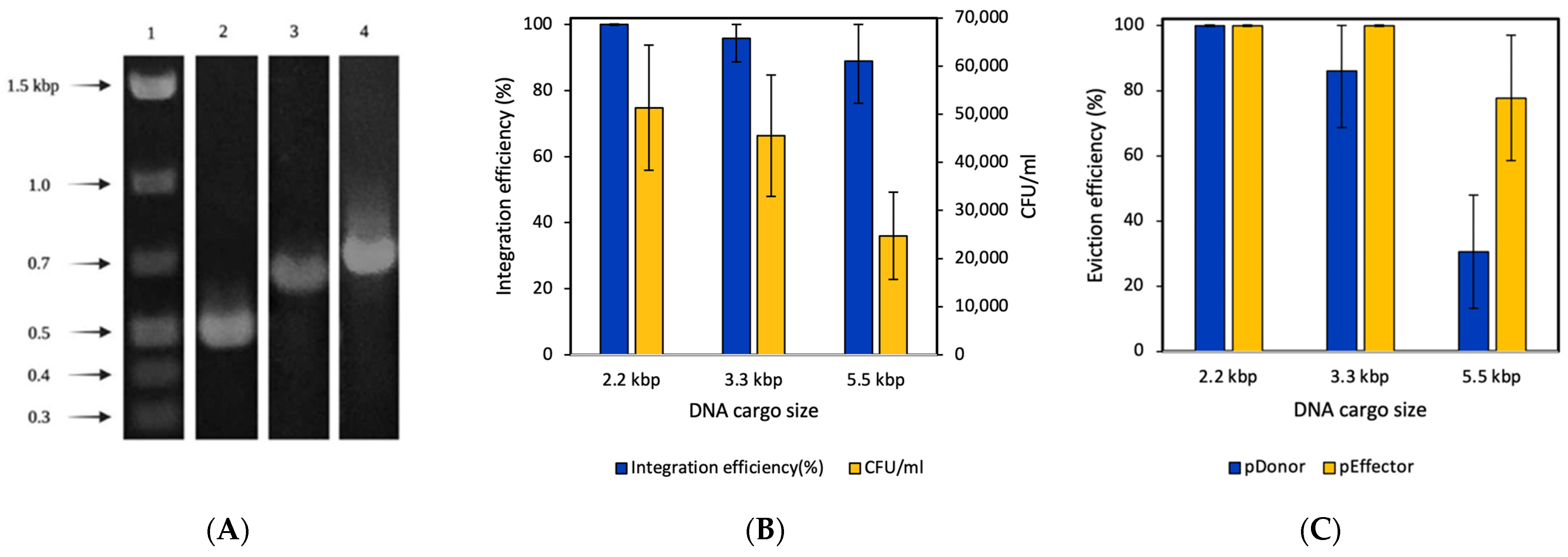 Fermentation 09 00014 g004